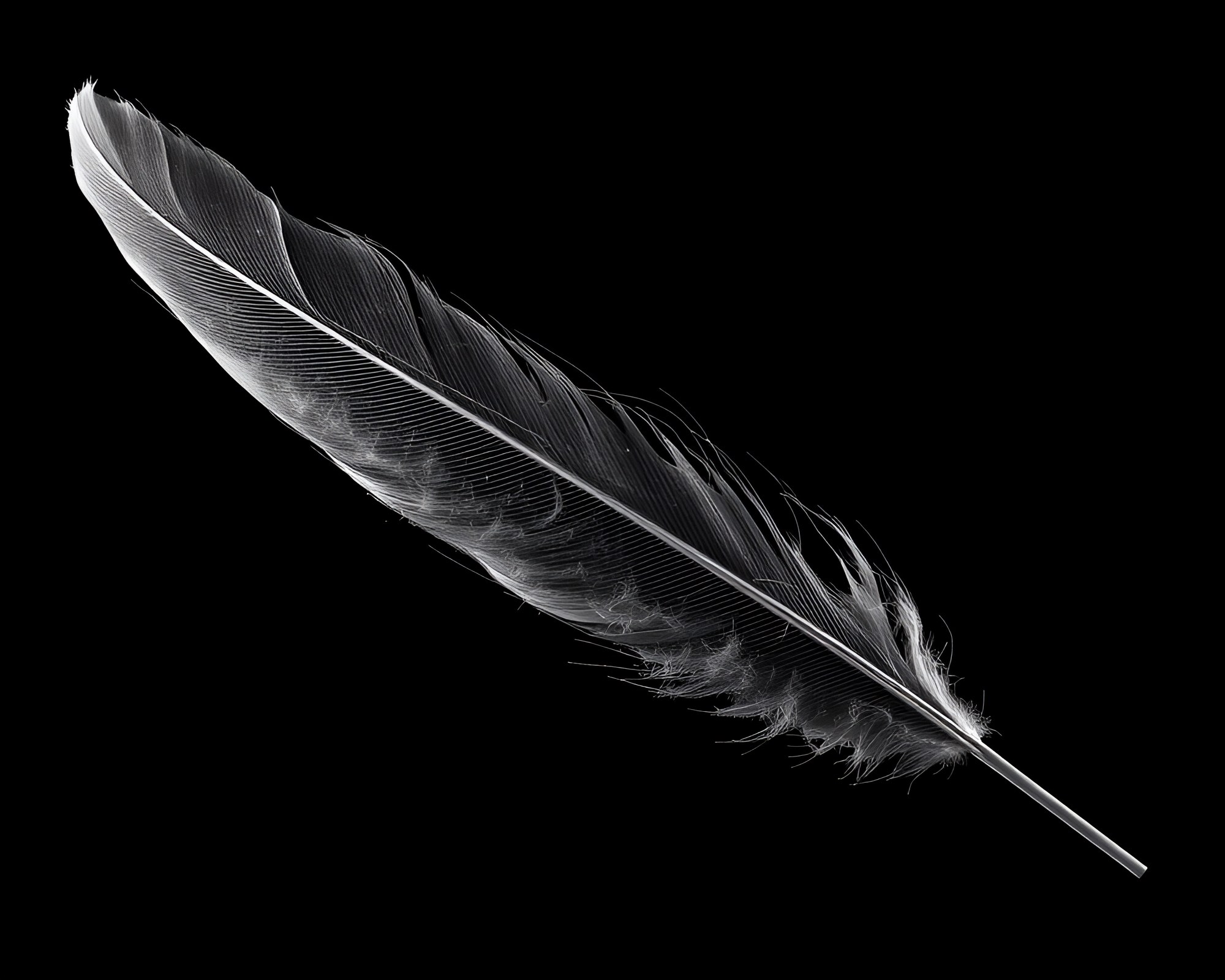 Ethereal Ley Line Feather Dusting in Low-Poly Style – free AI stock image