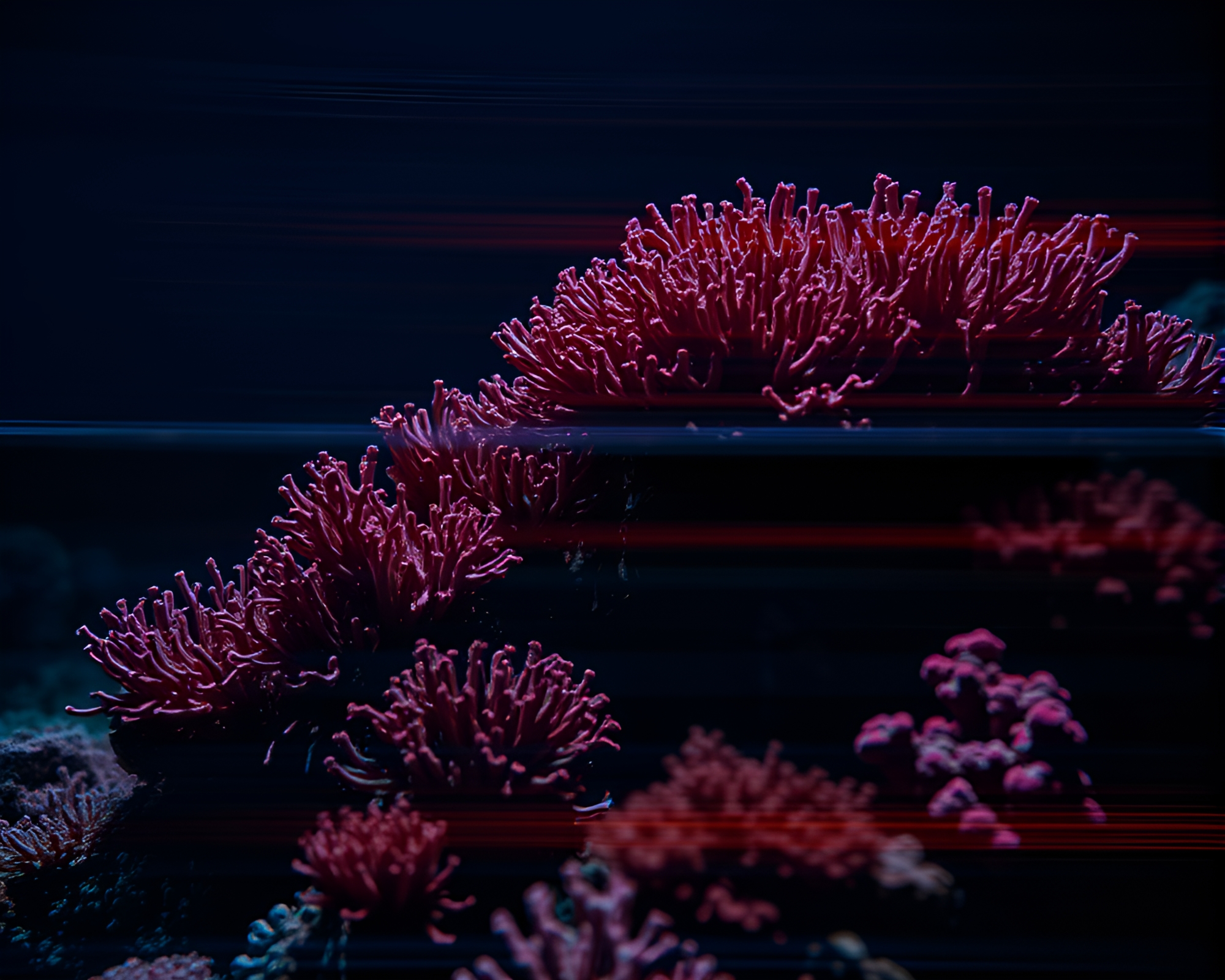 Dramatic Coral Reef Double Exposure – free AI stock image
