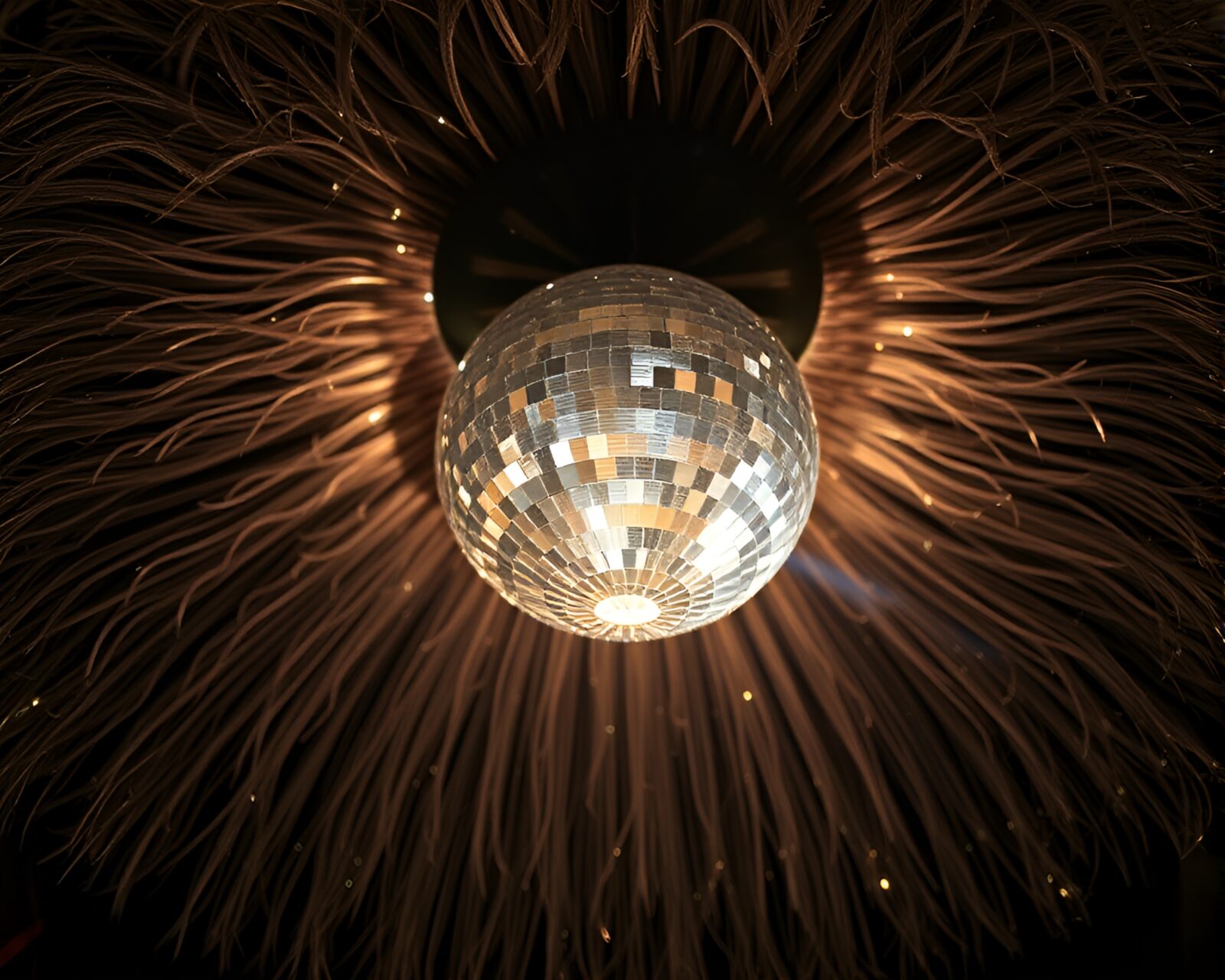 Wide-angle photo of ostrich under disco ball lights