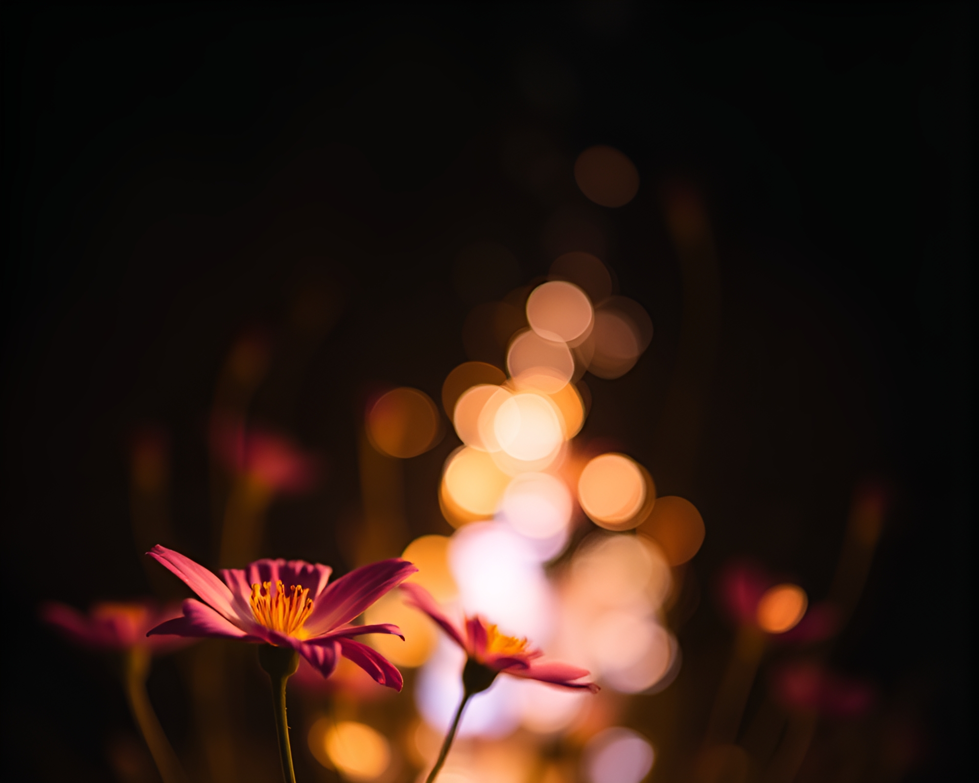 Rocket among ethereal watercolor blooms – free AI stock image