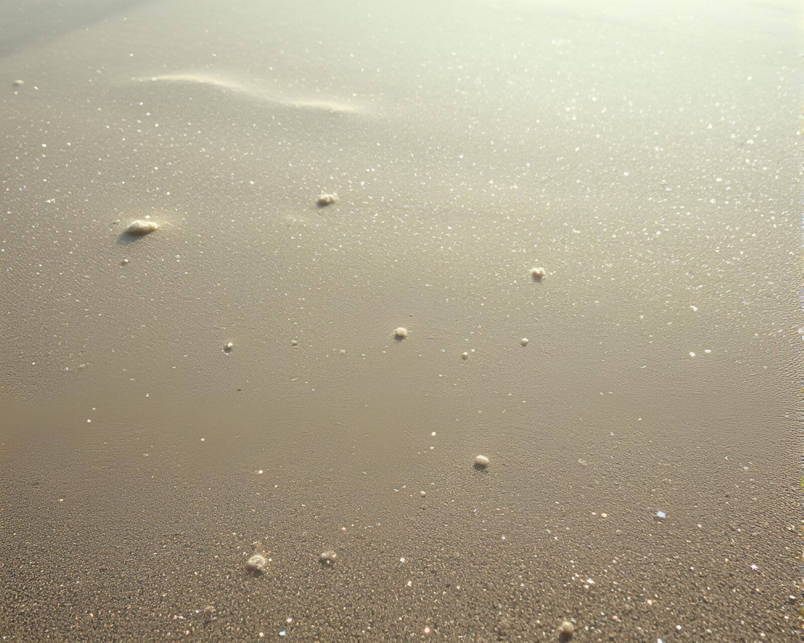 A tranquil beach scene with sparkling sand under duochrome hues