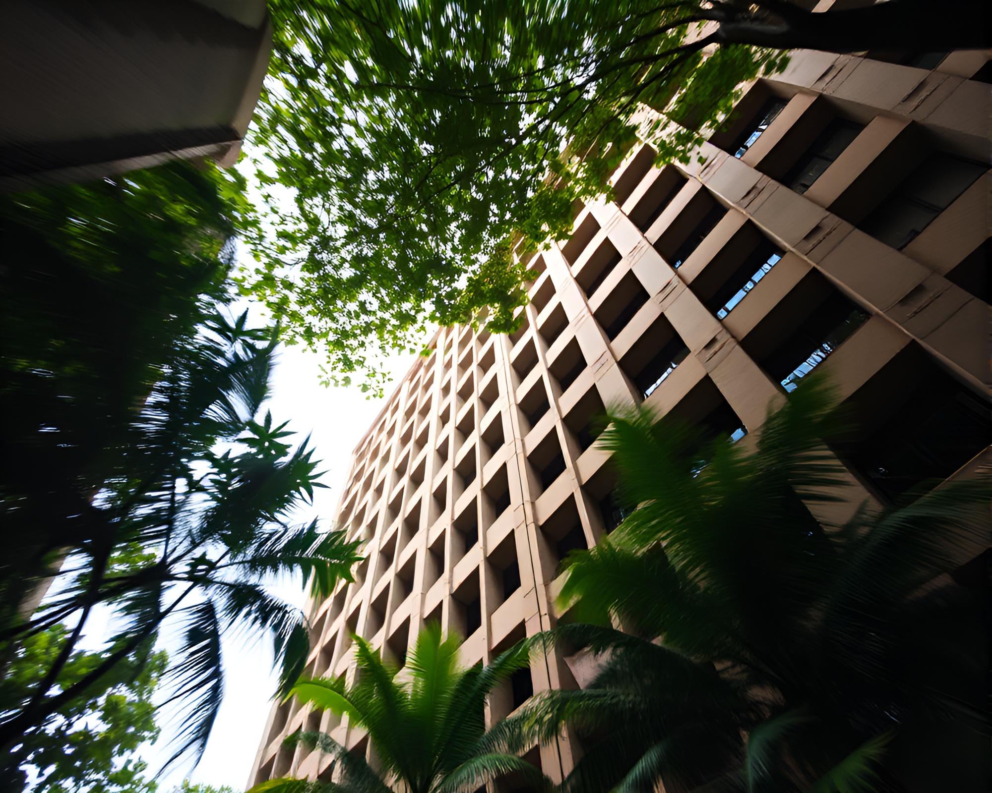 Brutalist Building in Jungle Canopy from Below with Motion Blur – free AI stock image
