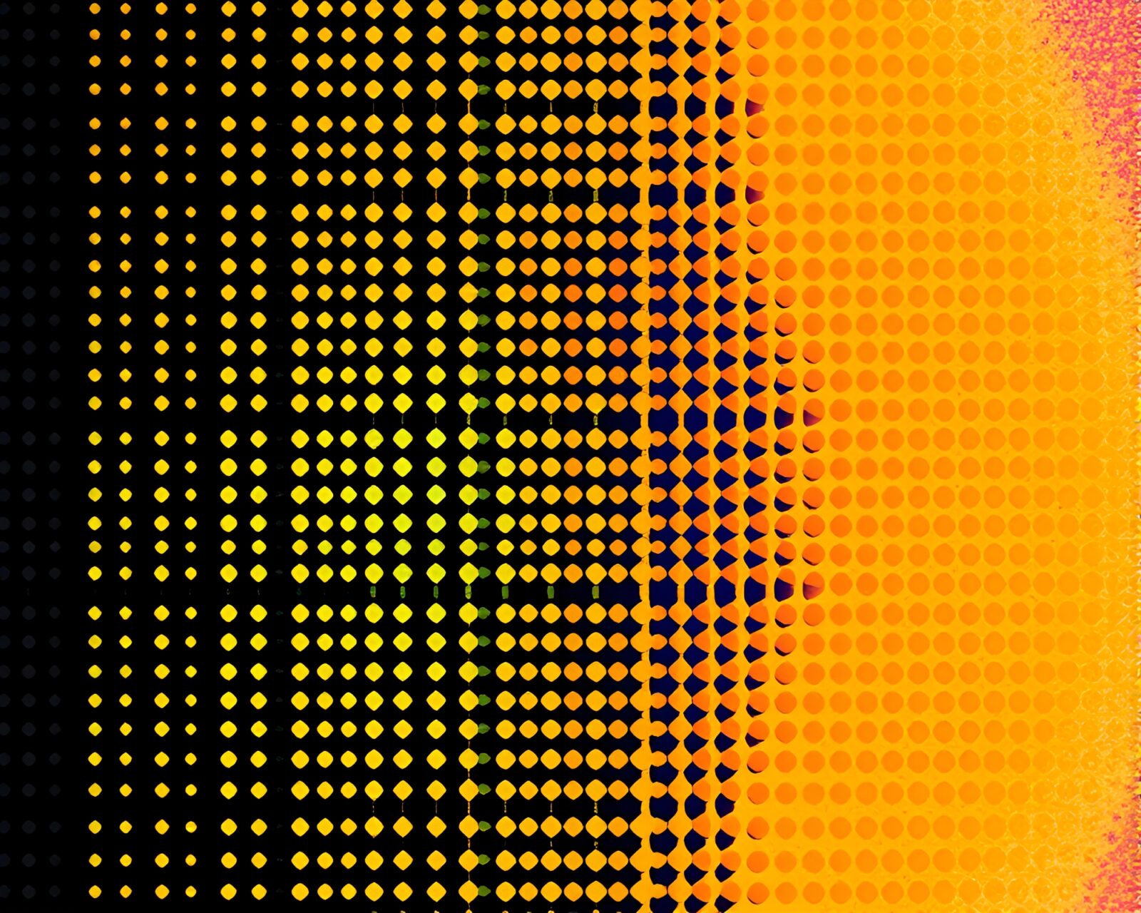 Colorful thermal baguette composition with halftone grid overlay