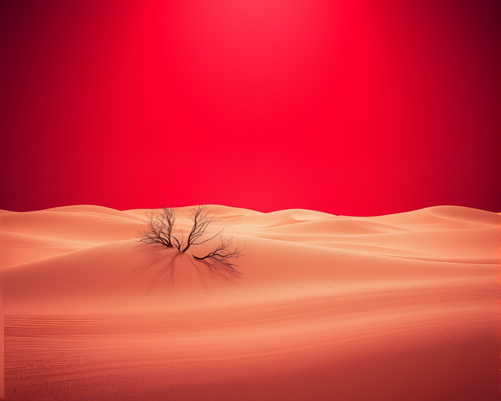 Holographic Desert Mirage with Ruby Glow Studio Shot – free AI stock image