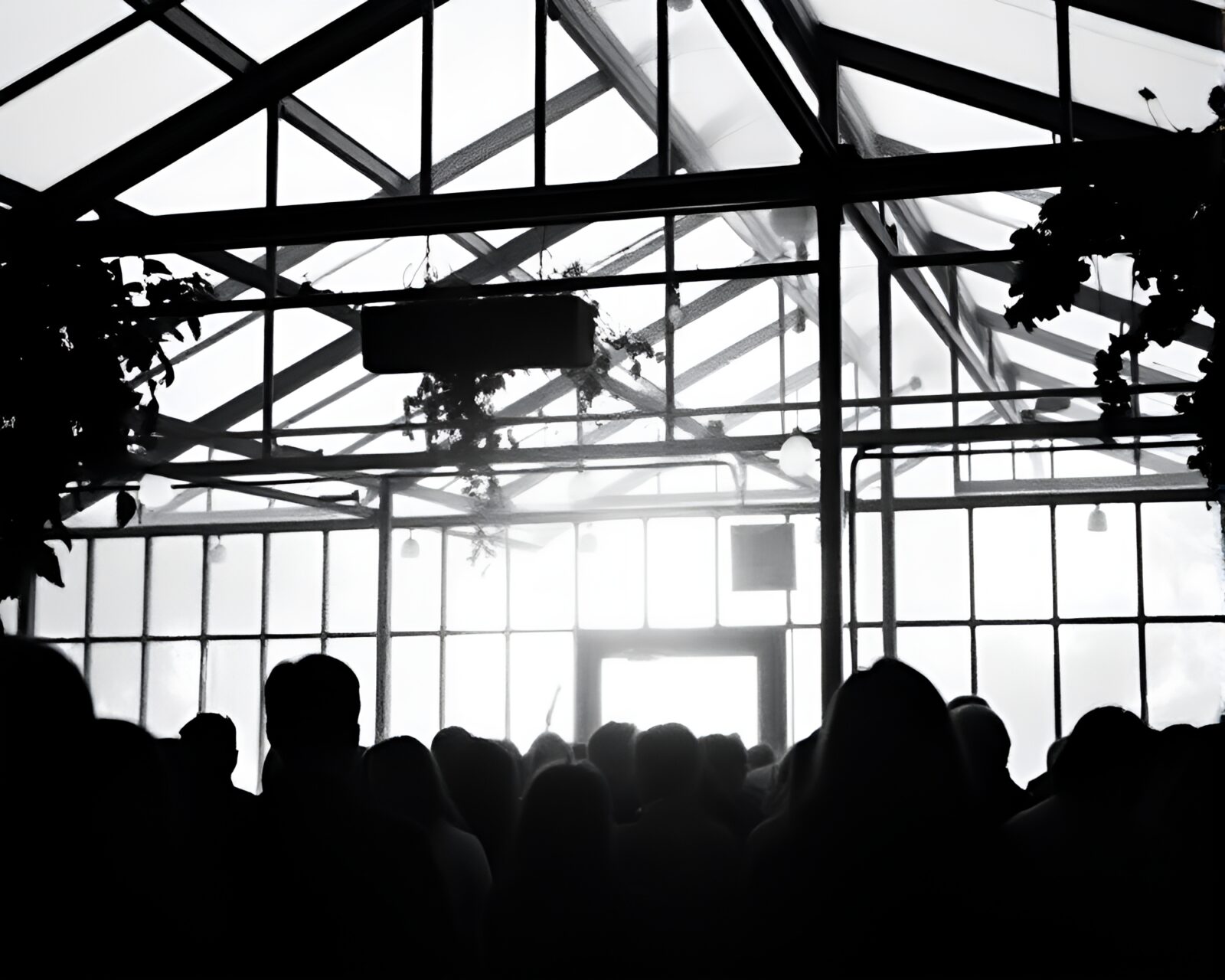 Silhouettes of people in a dreamy greenhouse setting