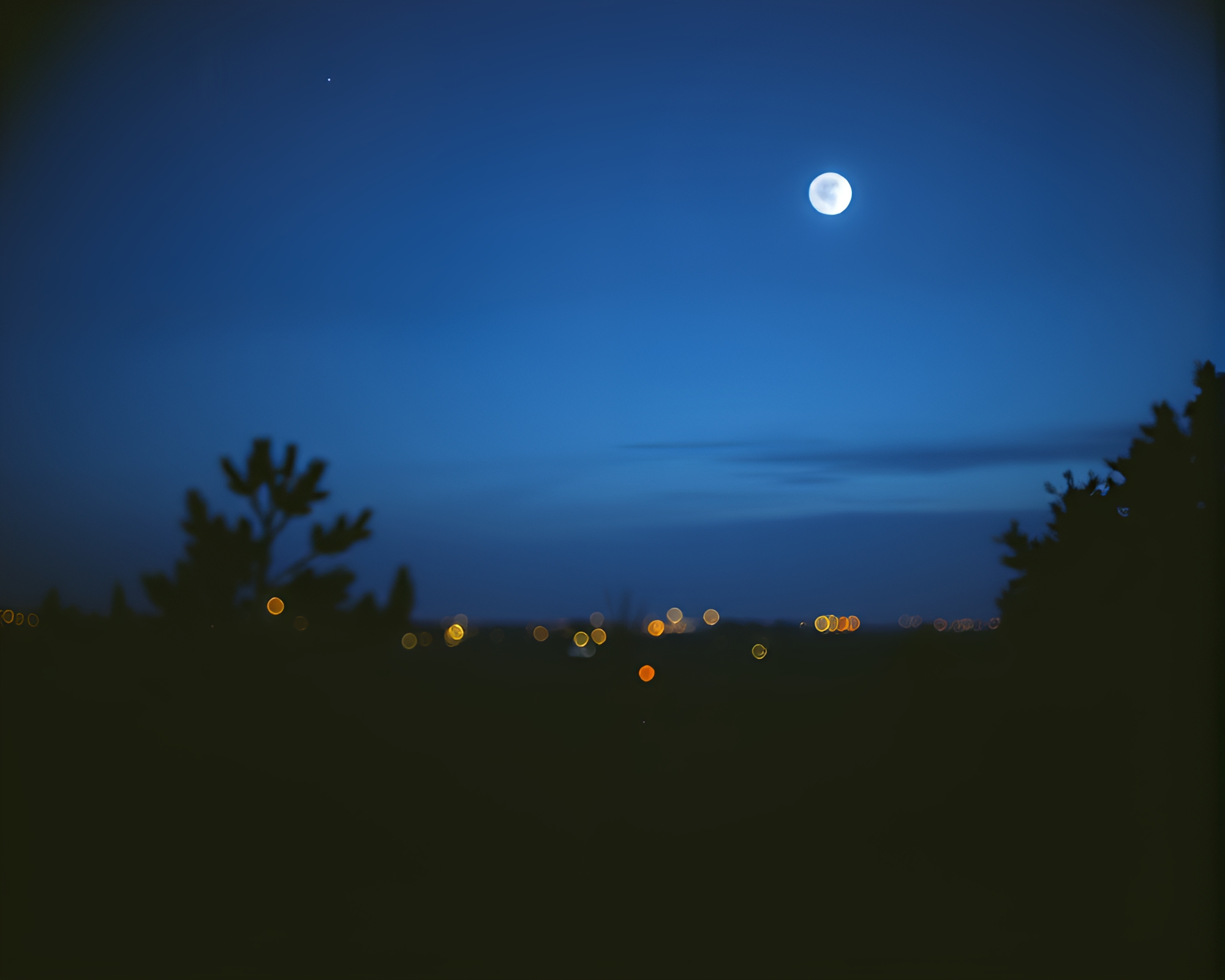Twilight Cyborg Collage with Mildew Spots – free AI stock image