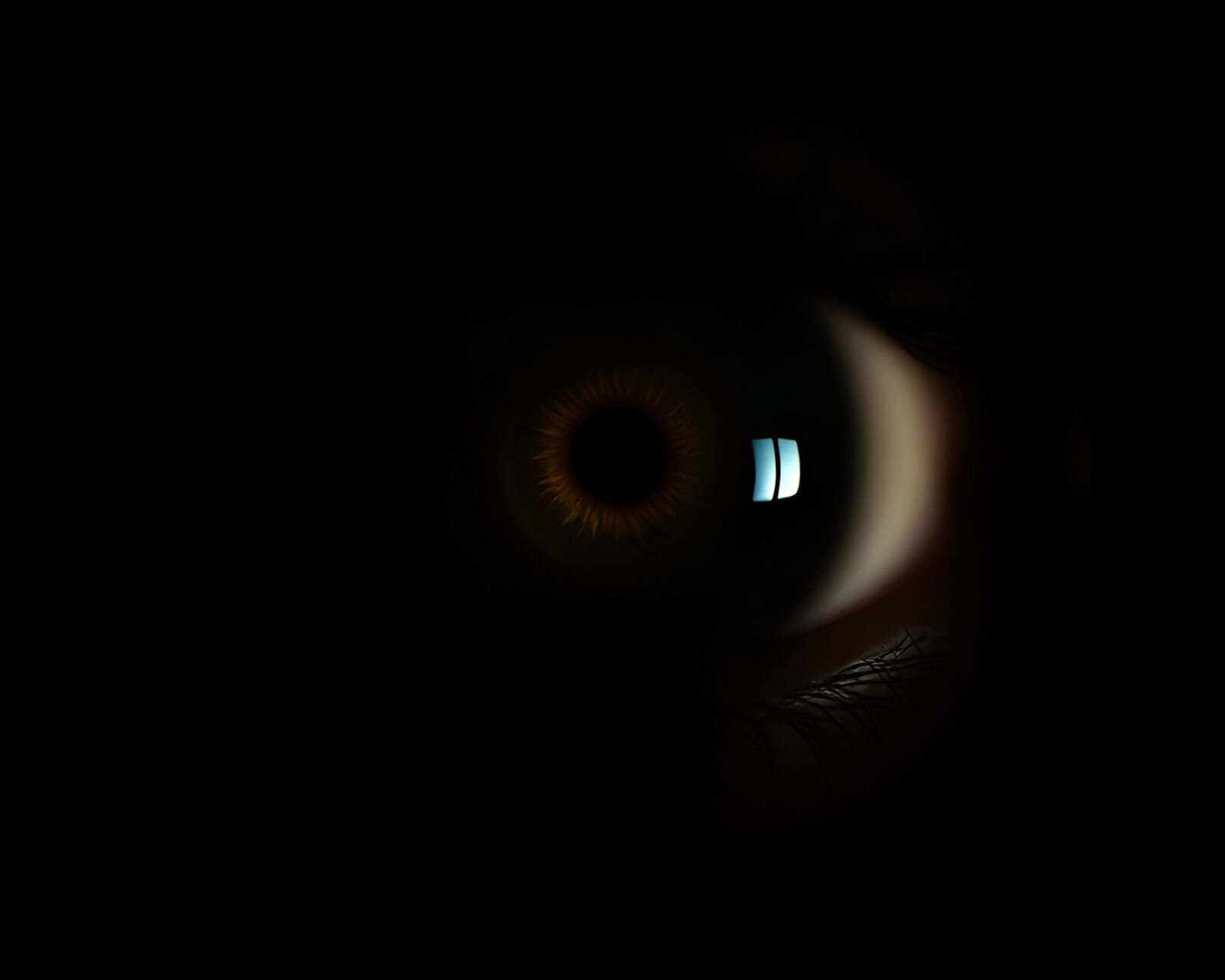 Dramatic chiaroscuro oasis scene with split focus effect