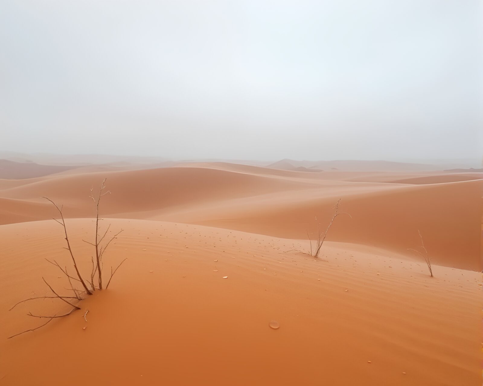 Minimalist design of island with dew drops in desert hues