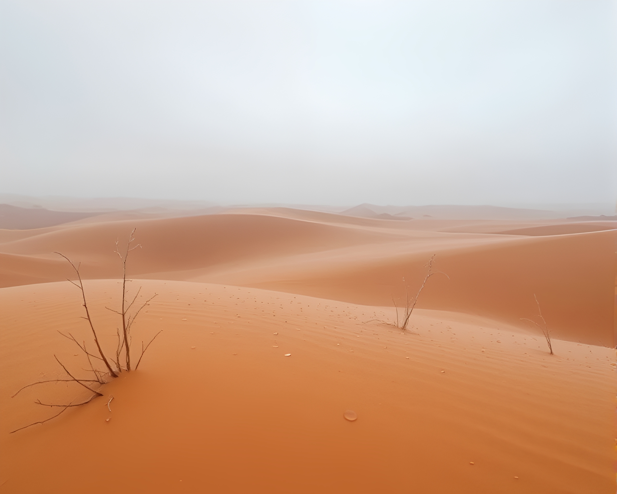 Dew-Dropped Island Oasis – free AI stock image