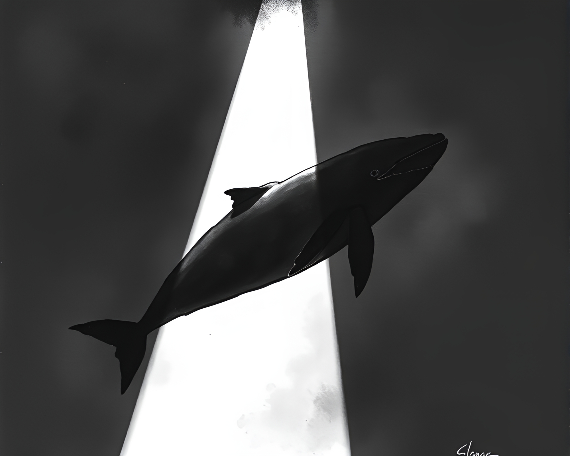 Majestic Whale Bathed in Glowing Attic Shadows – free AI stock image