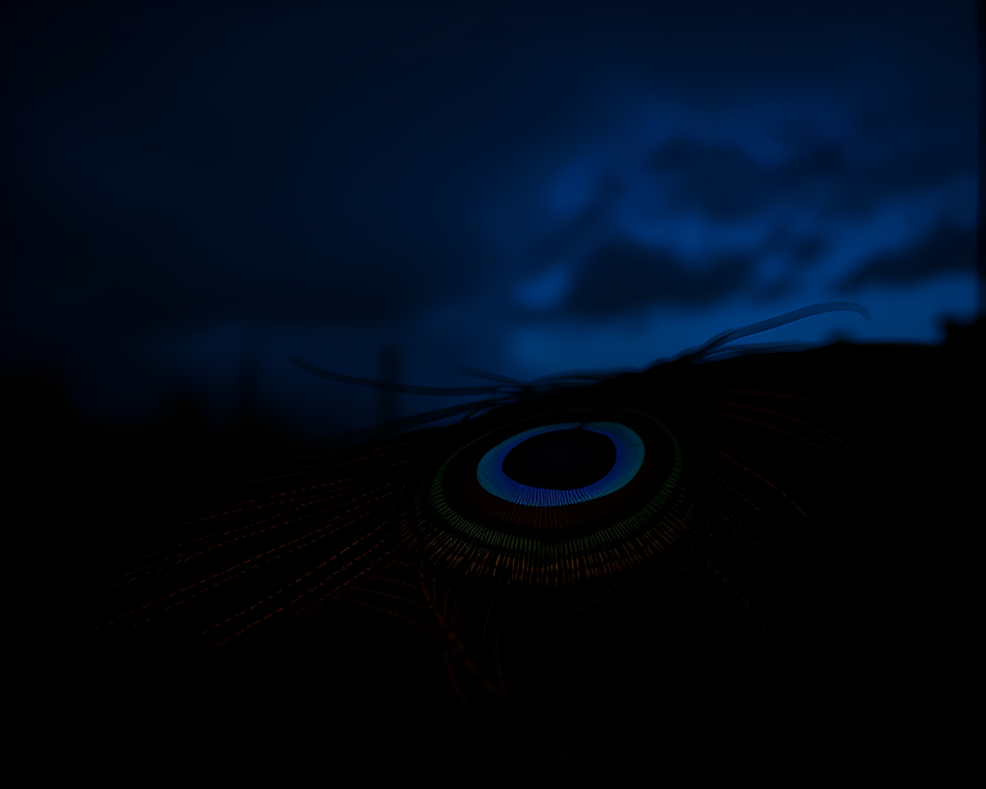 Peacock Feather Guiding Through Blue Noir Night – free AI stock image