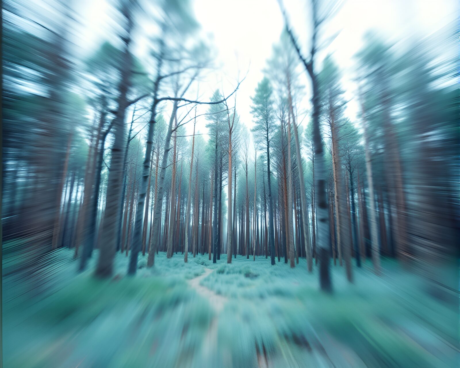 Surreal origami trees in swirling lens distortion forest