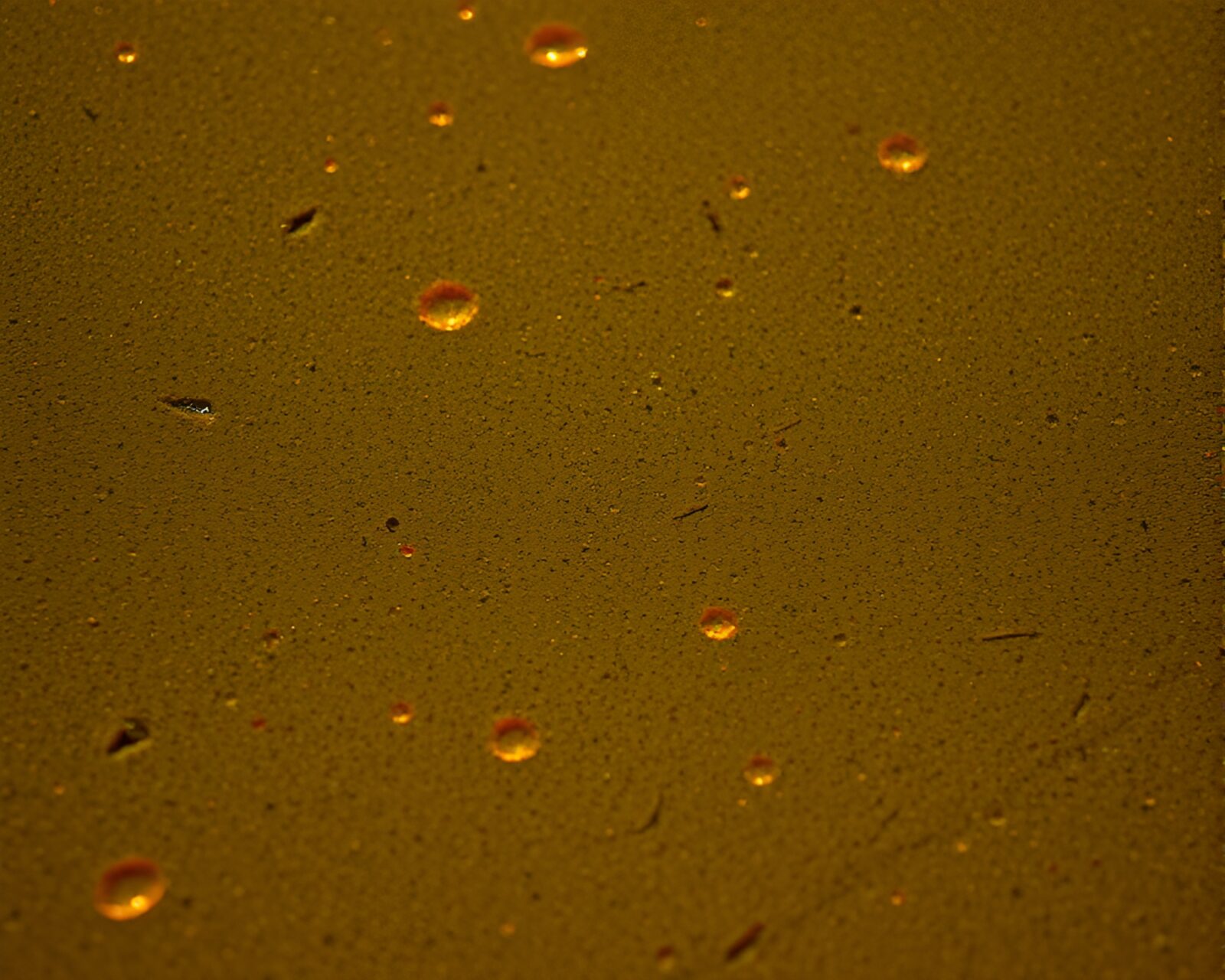 Detailed image of mildew spots under a microscope in sandy hues