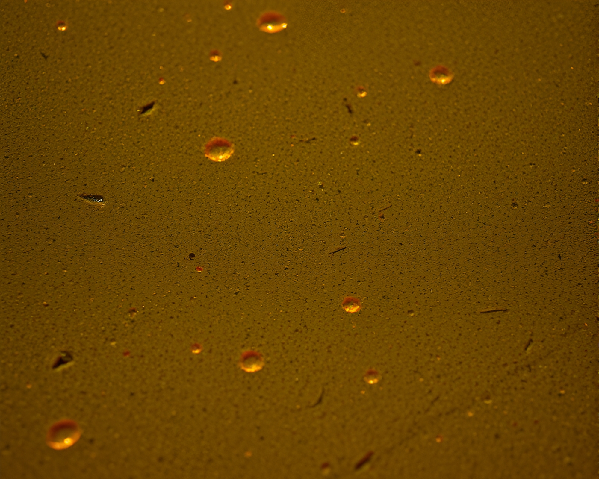 Microscopic Mildew Patterns in Chiaroscuro Desert Sands – free AI stock image