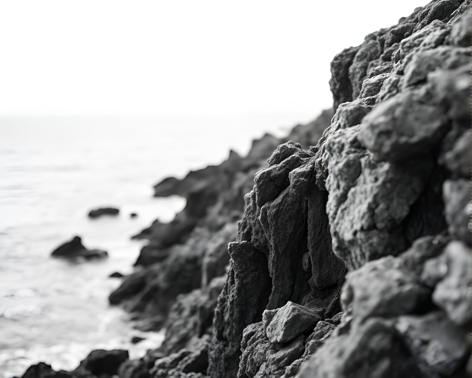Detailed monochrome close-up of rocky coast in ivory hues