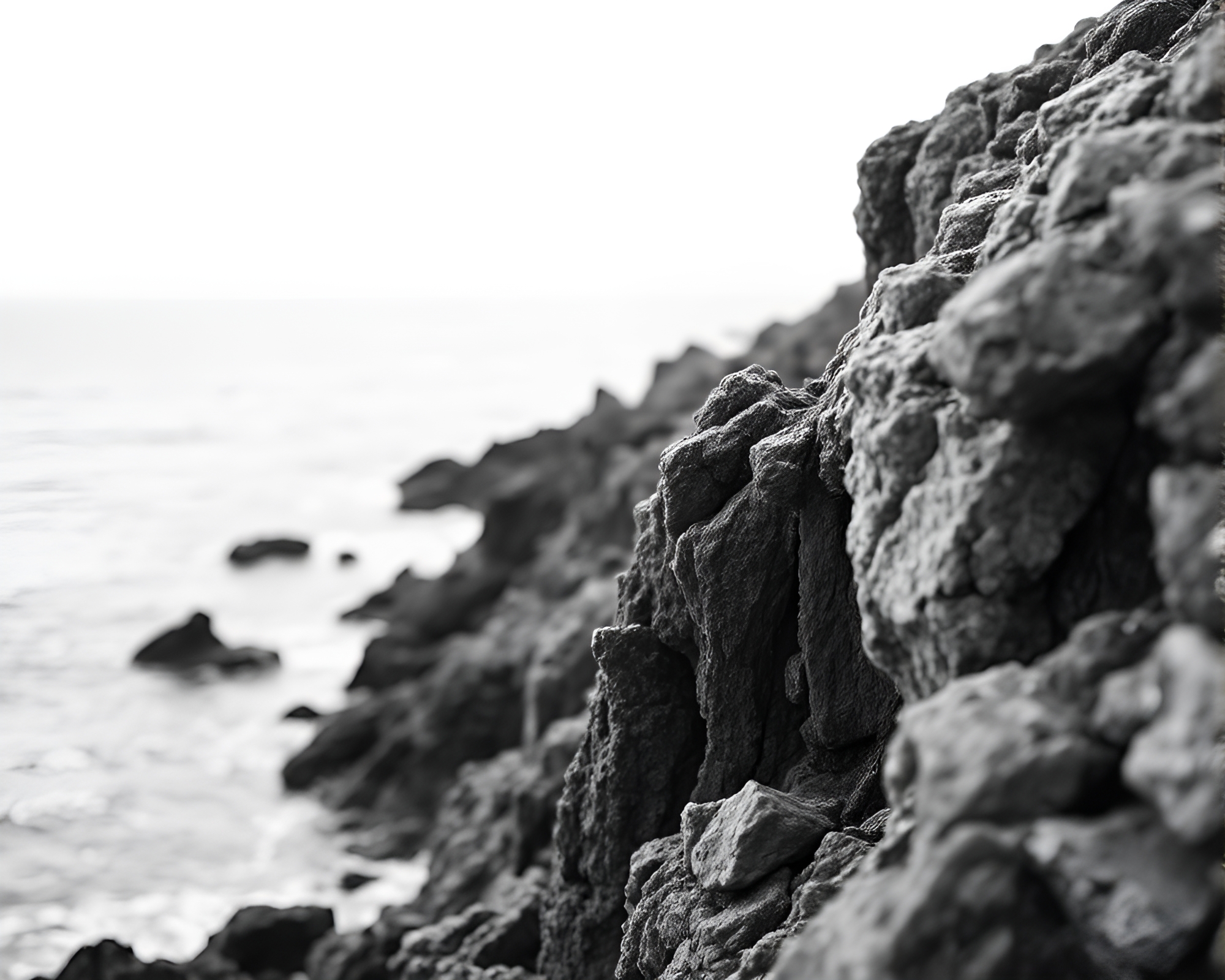 Ivory Monochrome Macro Detail of Rocky Coastline – free AI stock image