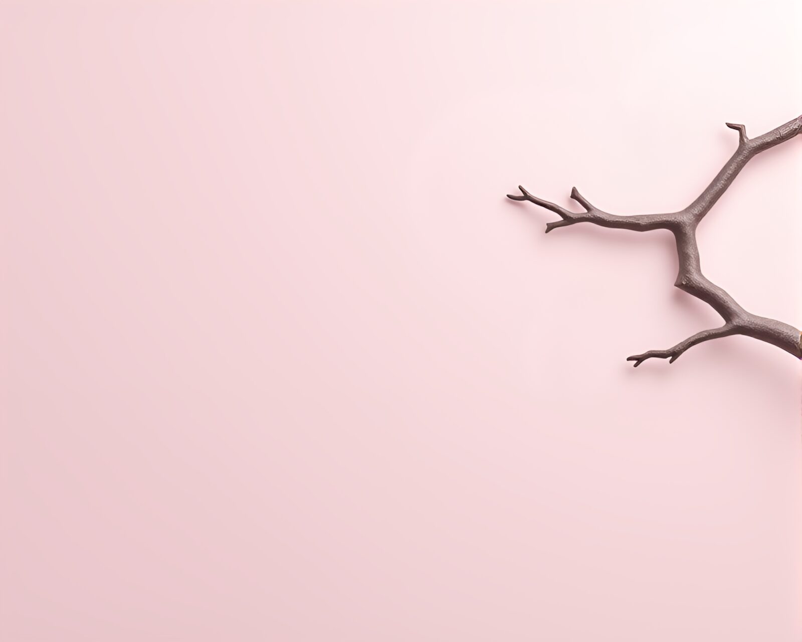 Minimalist design of a sloth in pastel colors on textured paper