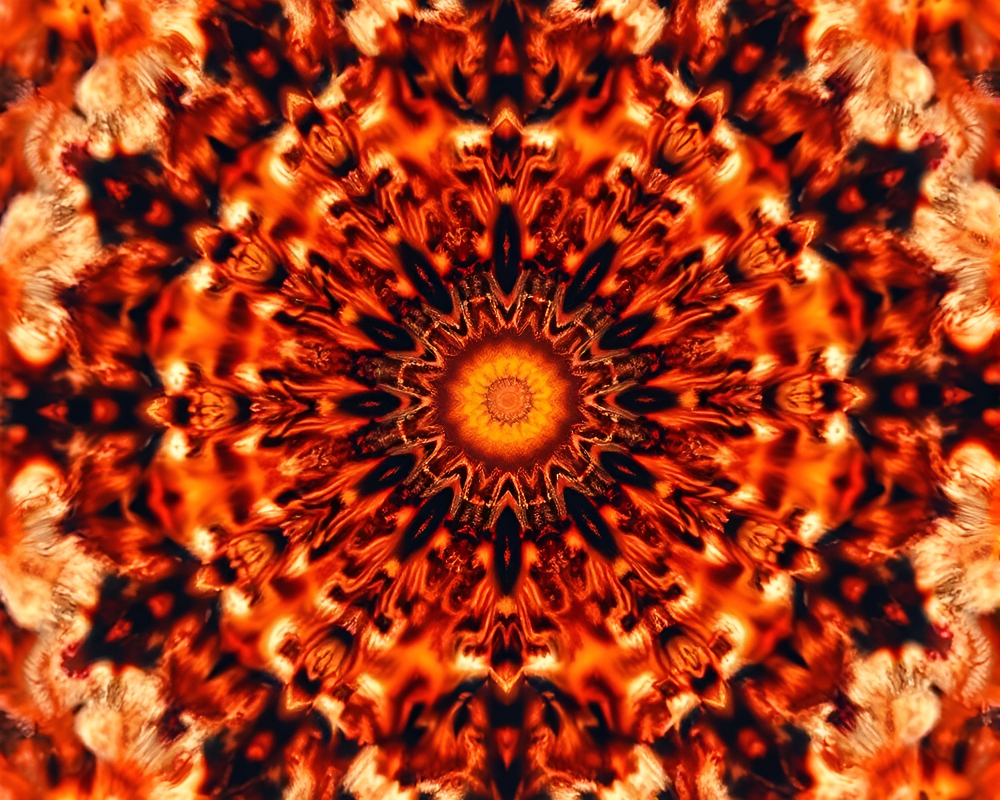 Fractal Burnt Orange Patterns: Wide-Angle High-Angle Shot – free AI stock image