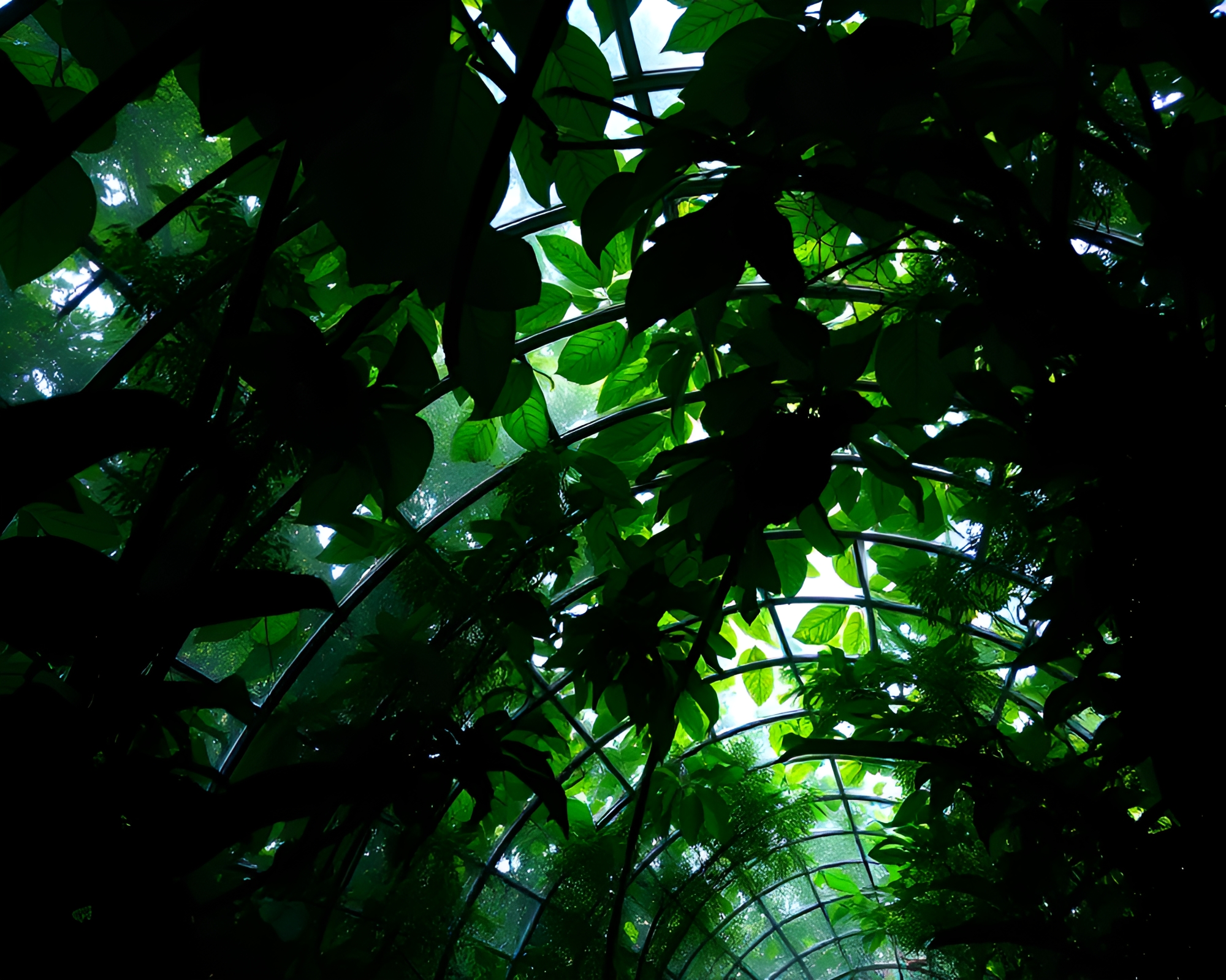 Mystical Glass Tunnel through Jungle Canopy with Leaf Vein Patterns – free AI stock image