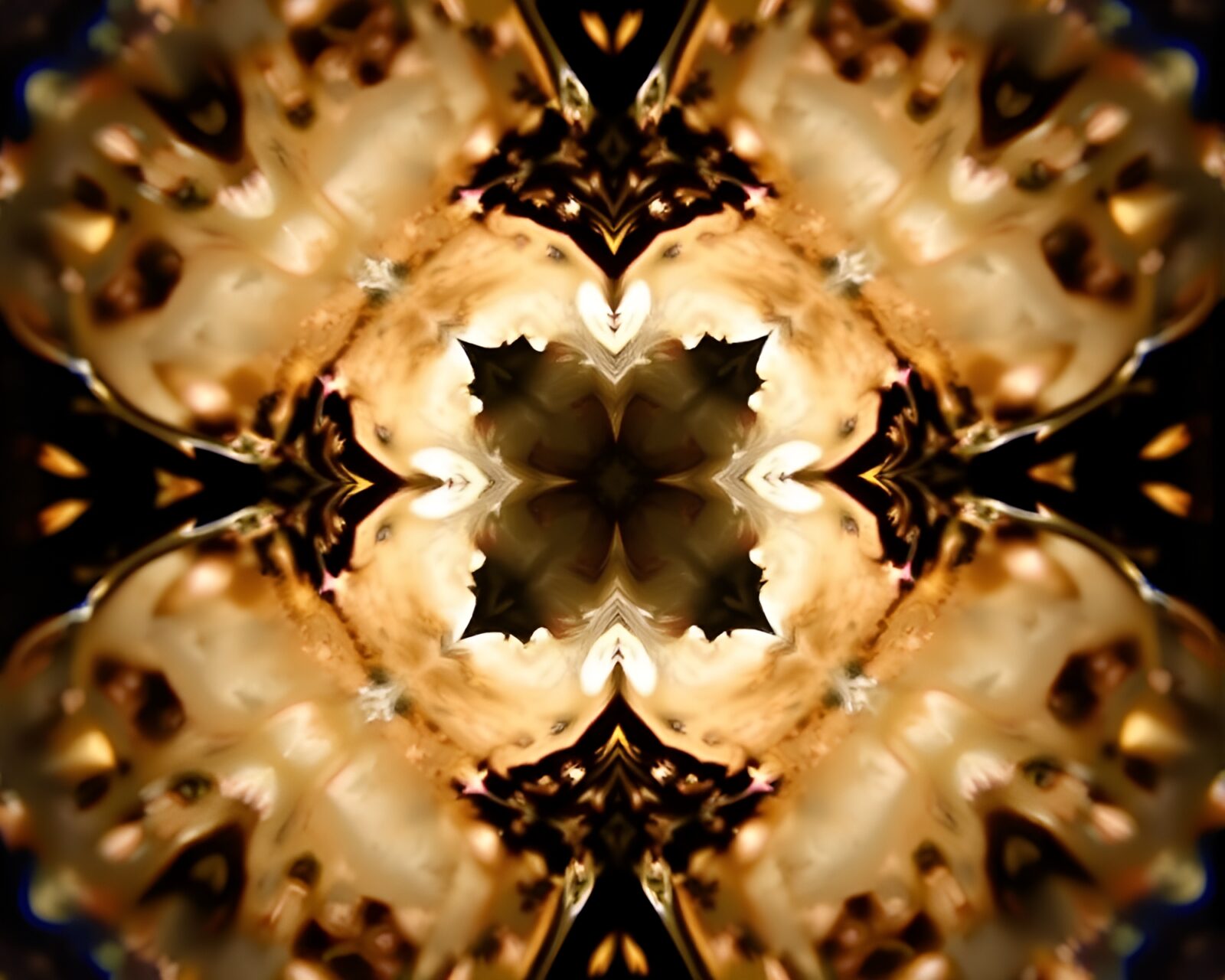 A wide-angle view of a sloth surrounded by swirling colors