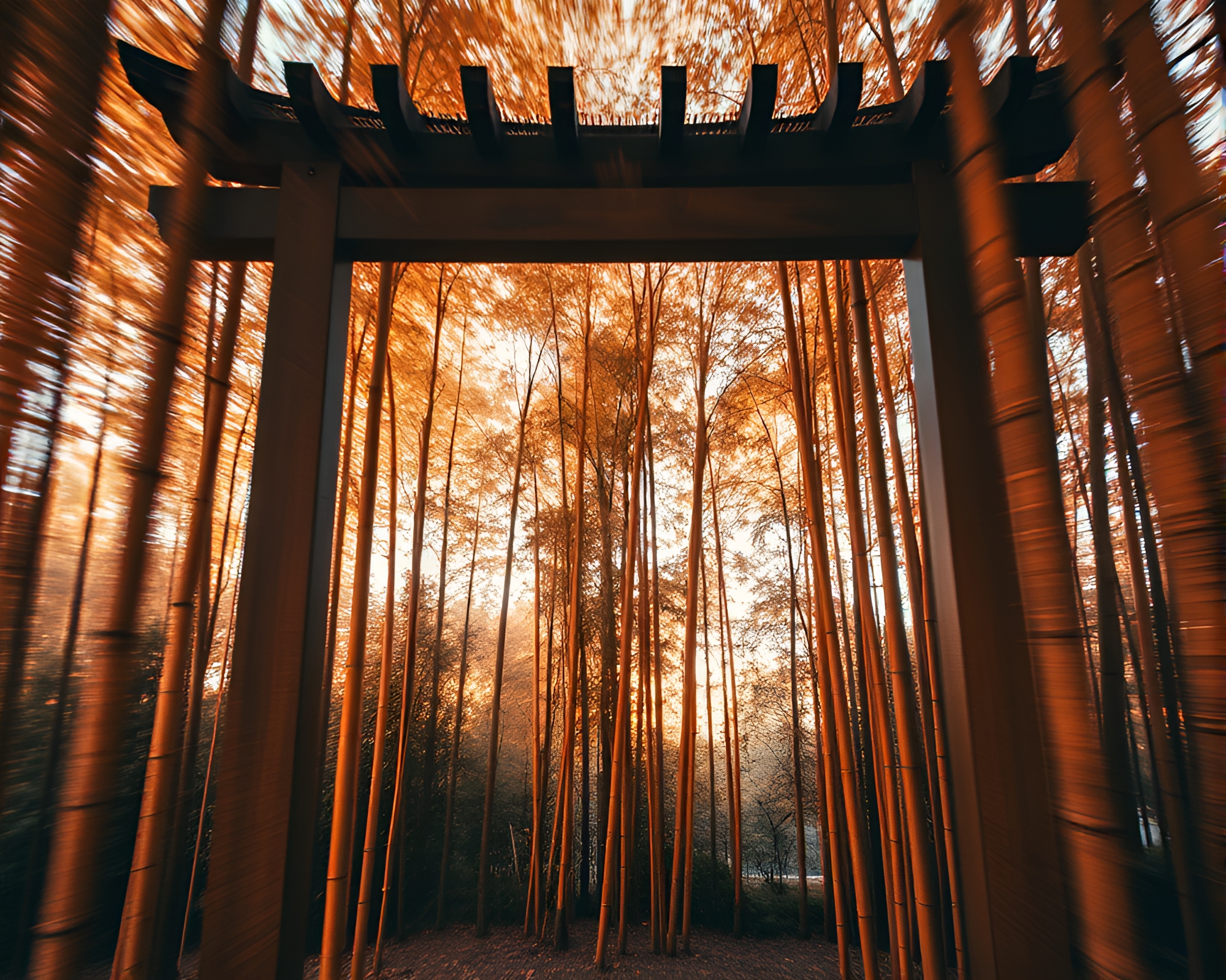 Bamboo Grove Through Architectural Infrared Frame – free AI stock image