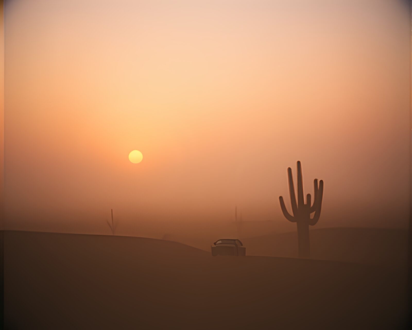 Duotone image of desert landscape with split focus diopter