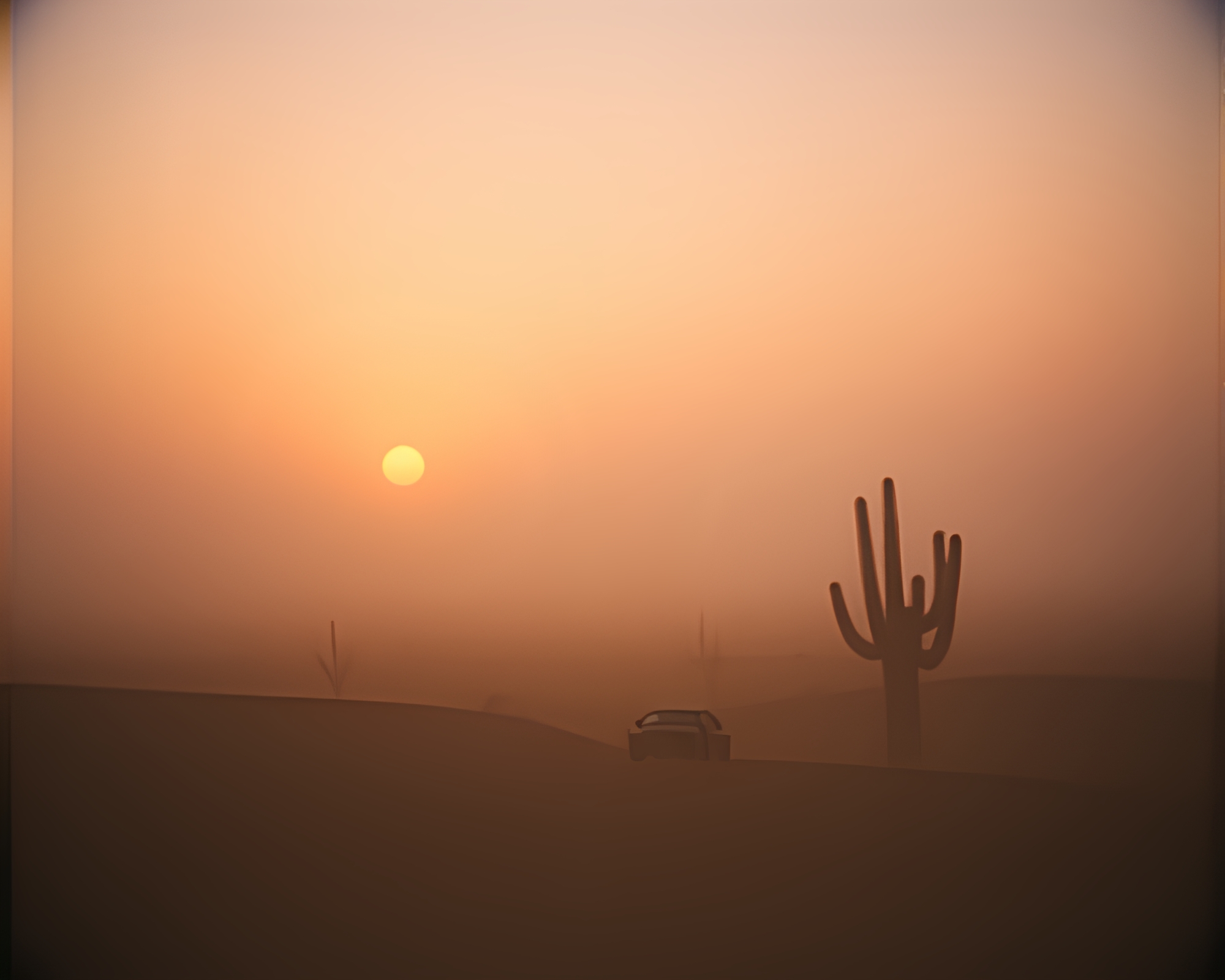 Split Focus Desert Mirage at Dawn – free AI stock image