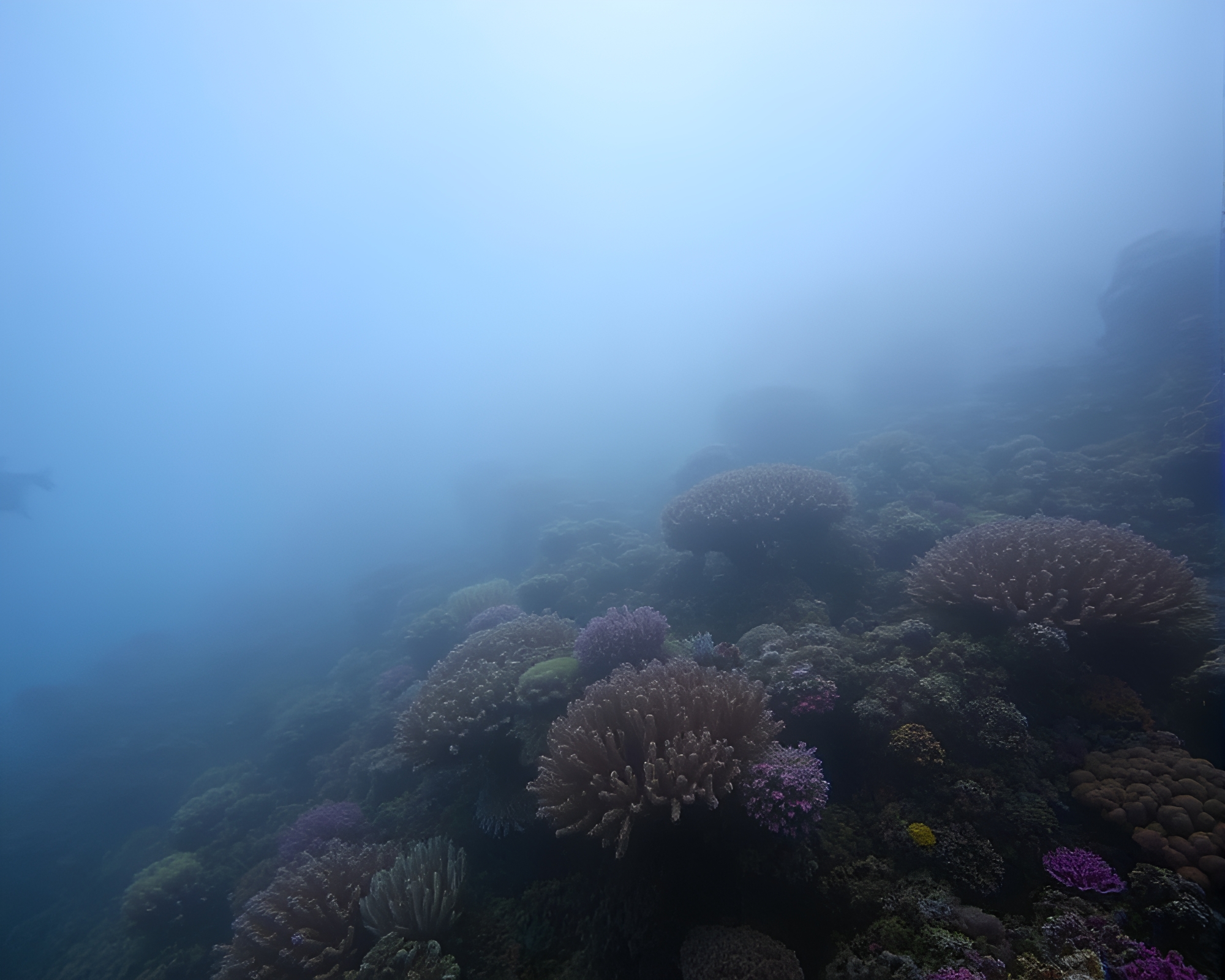 Coral Reef Surreal Lens Distortion Underwater Scene – free AI stock image
