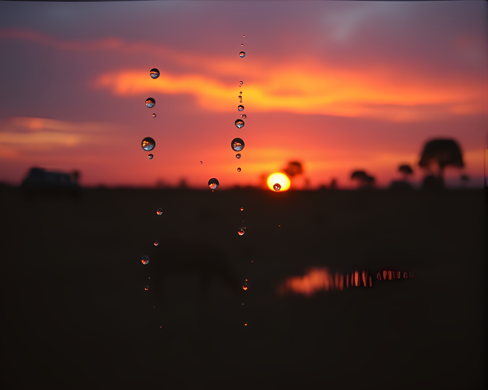 Savanna Sunset Water Droplets Reflecting Retrowave Glows – free AI stock image