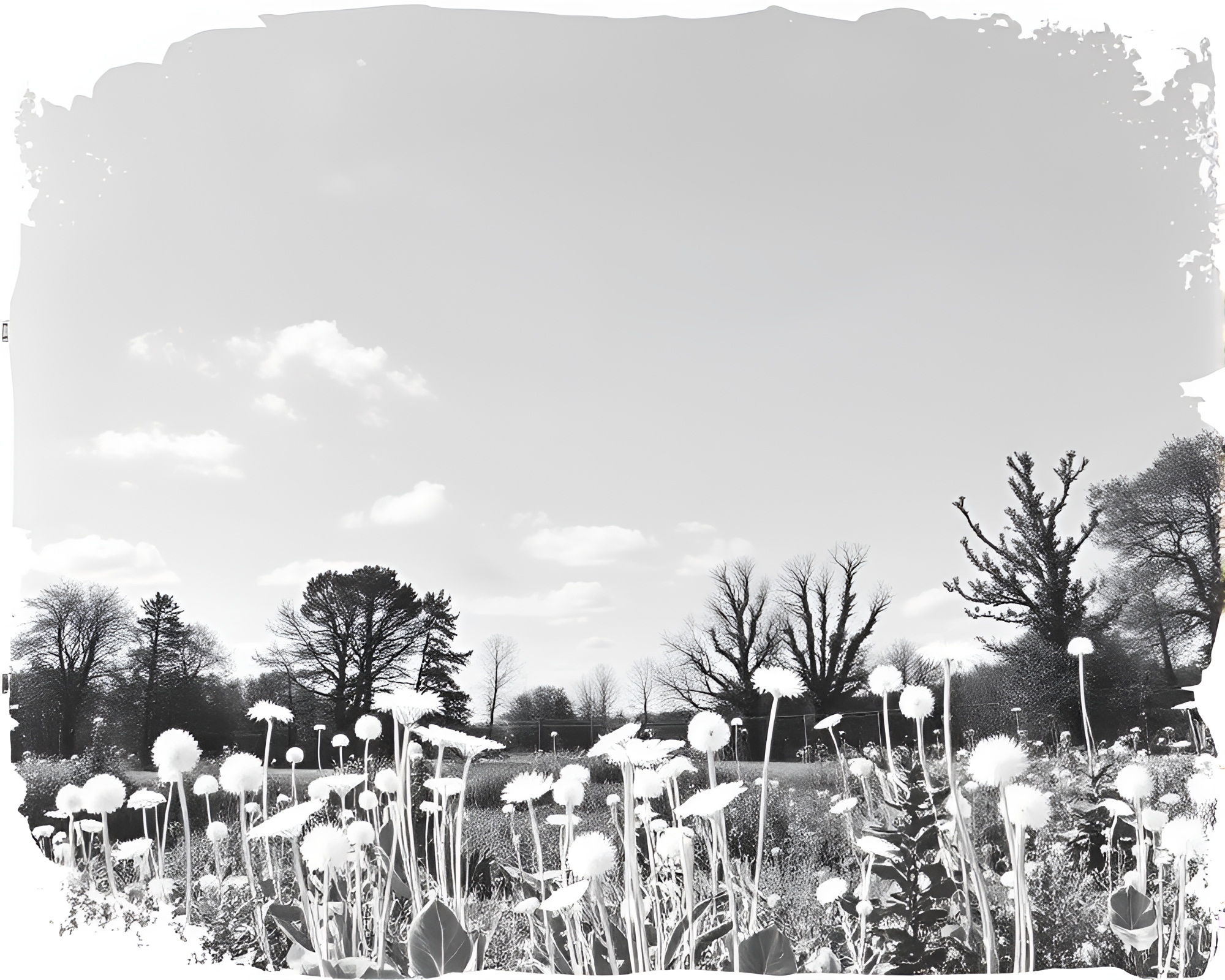 Ethereal Sky Garden: Double Exposure Stencil Art – free AI stock image