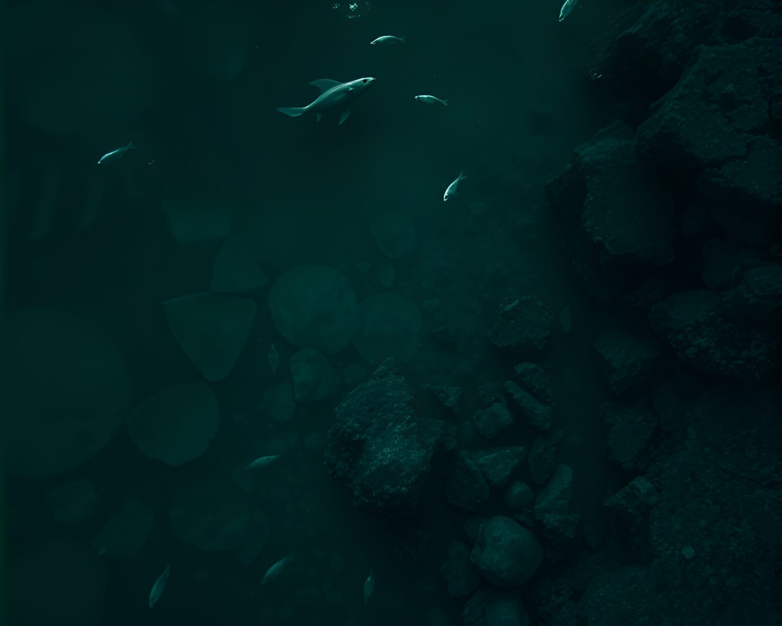 Desaturated gloom mermaid viewed from above in path tracing style