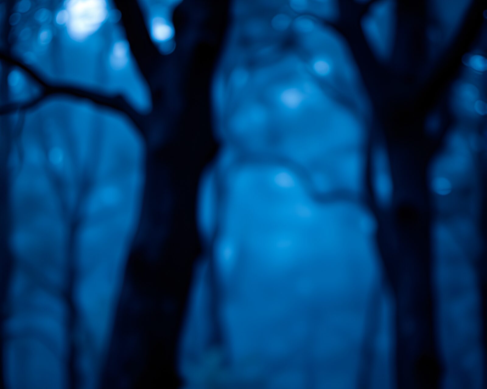 Ethereal forest scene with blue lights and charcoal brushstrokes