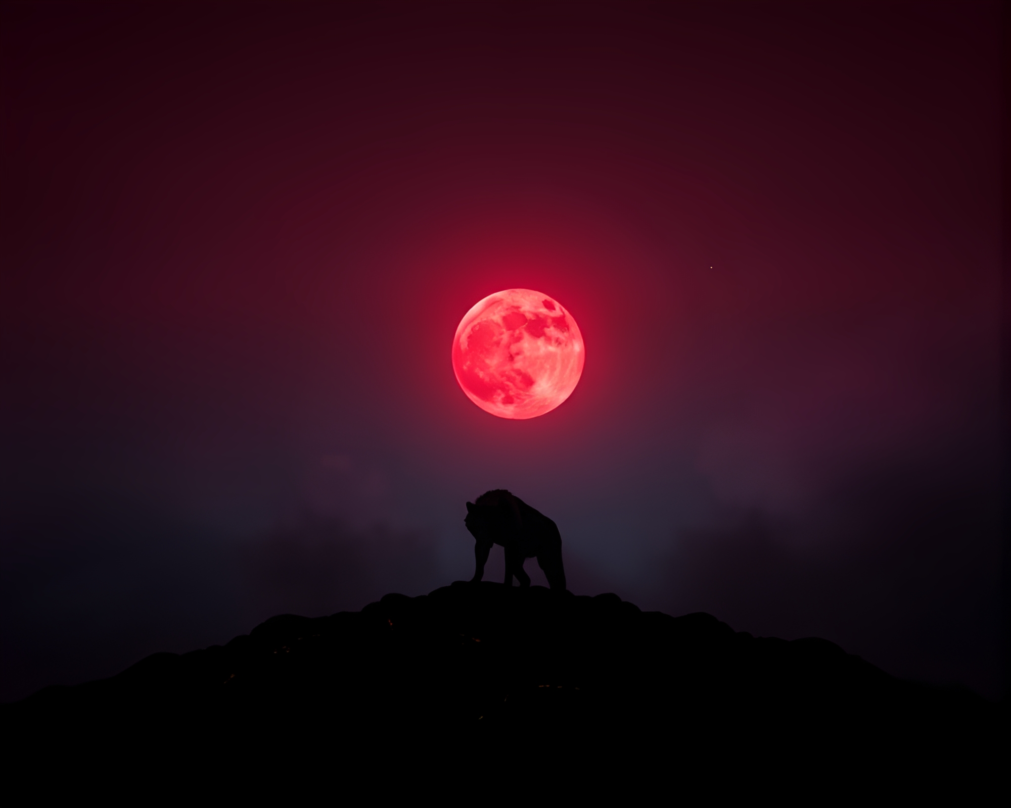 Moonlit Wolf Howling Under Volcano Red Sky – free AI stock image