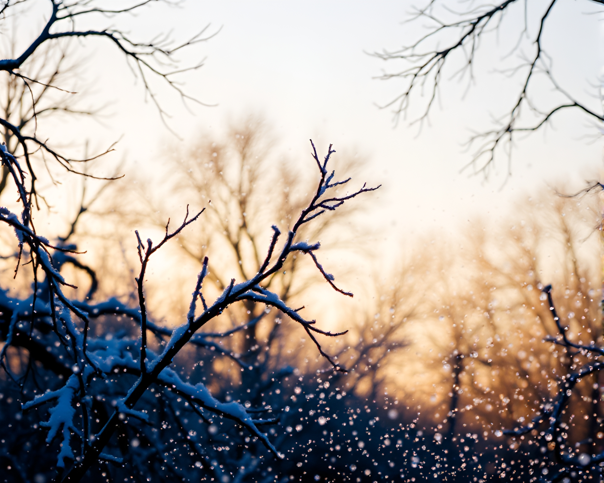 Golden Hour Snowflakes Dance in Savannah – free AI stock image