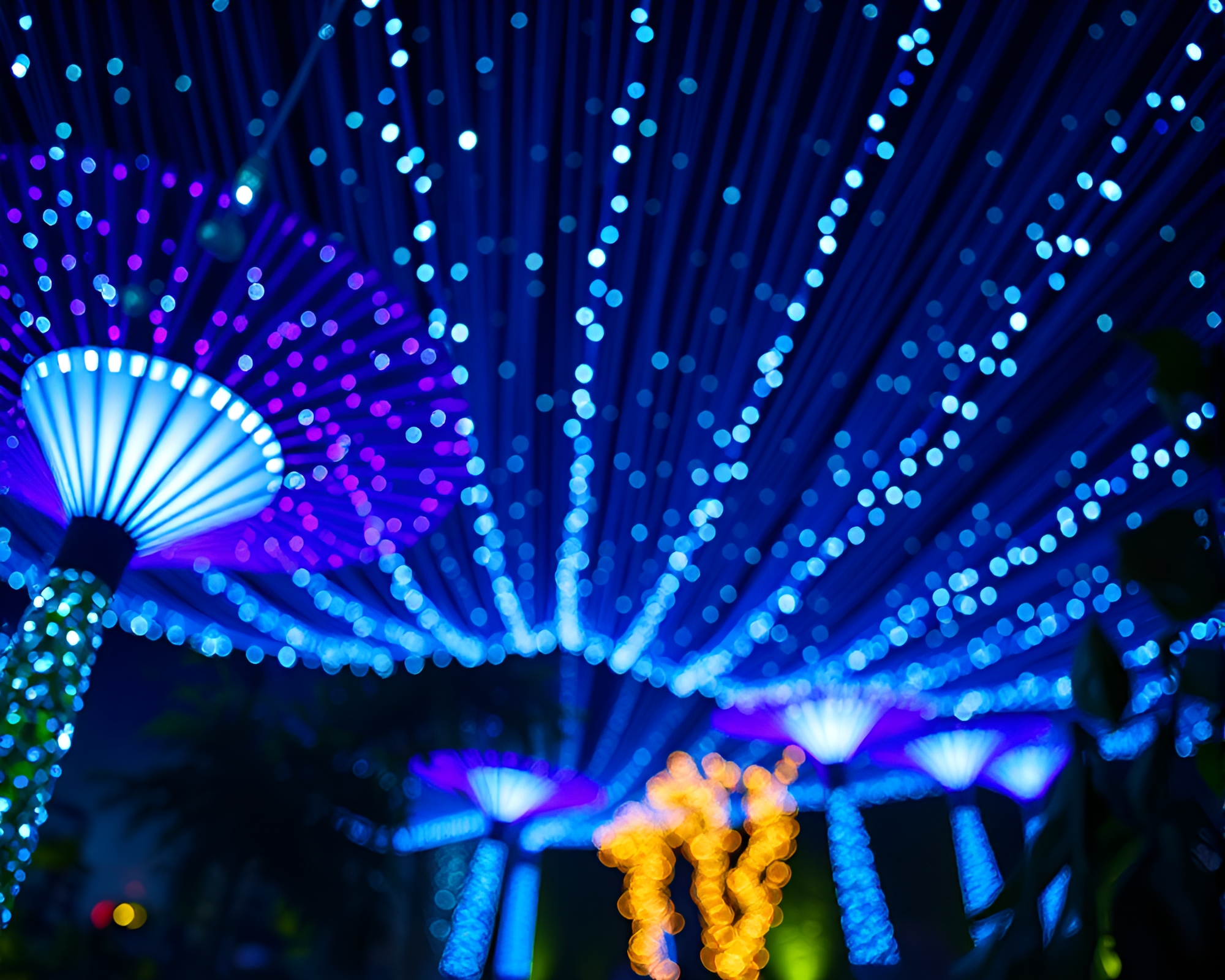 Fluorescent Sky Garden with Fiber Optic Bokeh Lights – free AI stock image