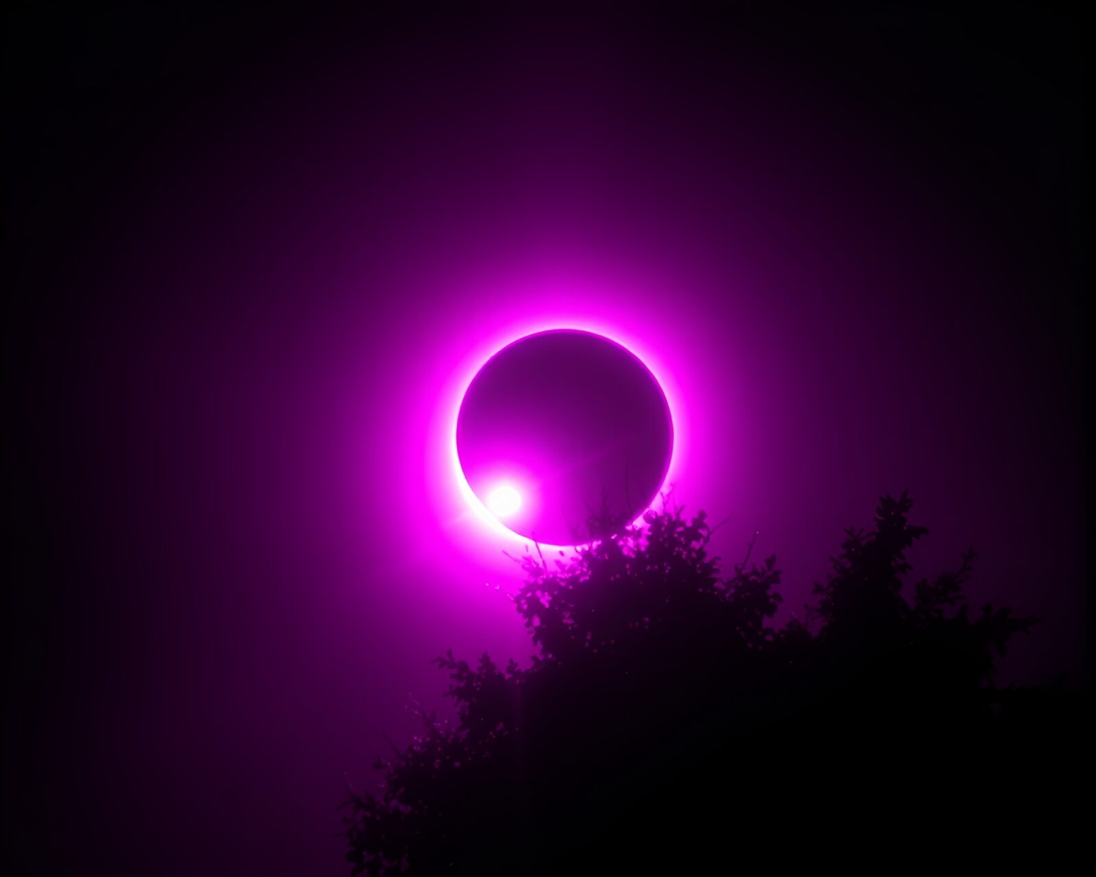 Worm's eye view of a surreal solar eclipse