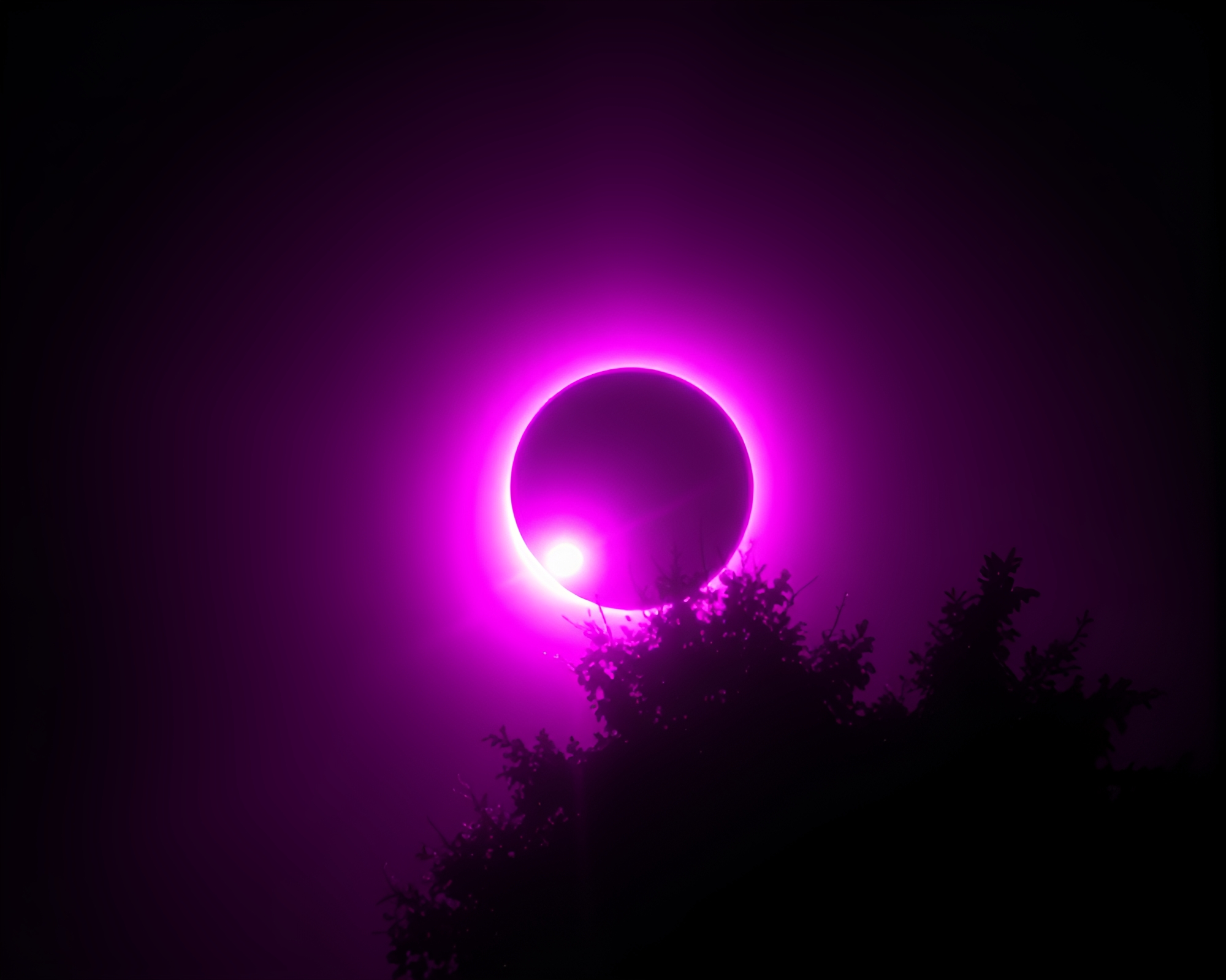 Magenta Solar Eclipse in Duotone – free AI stock image