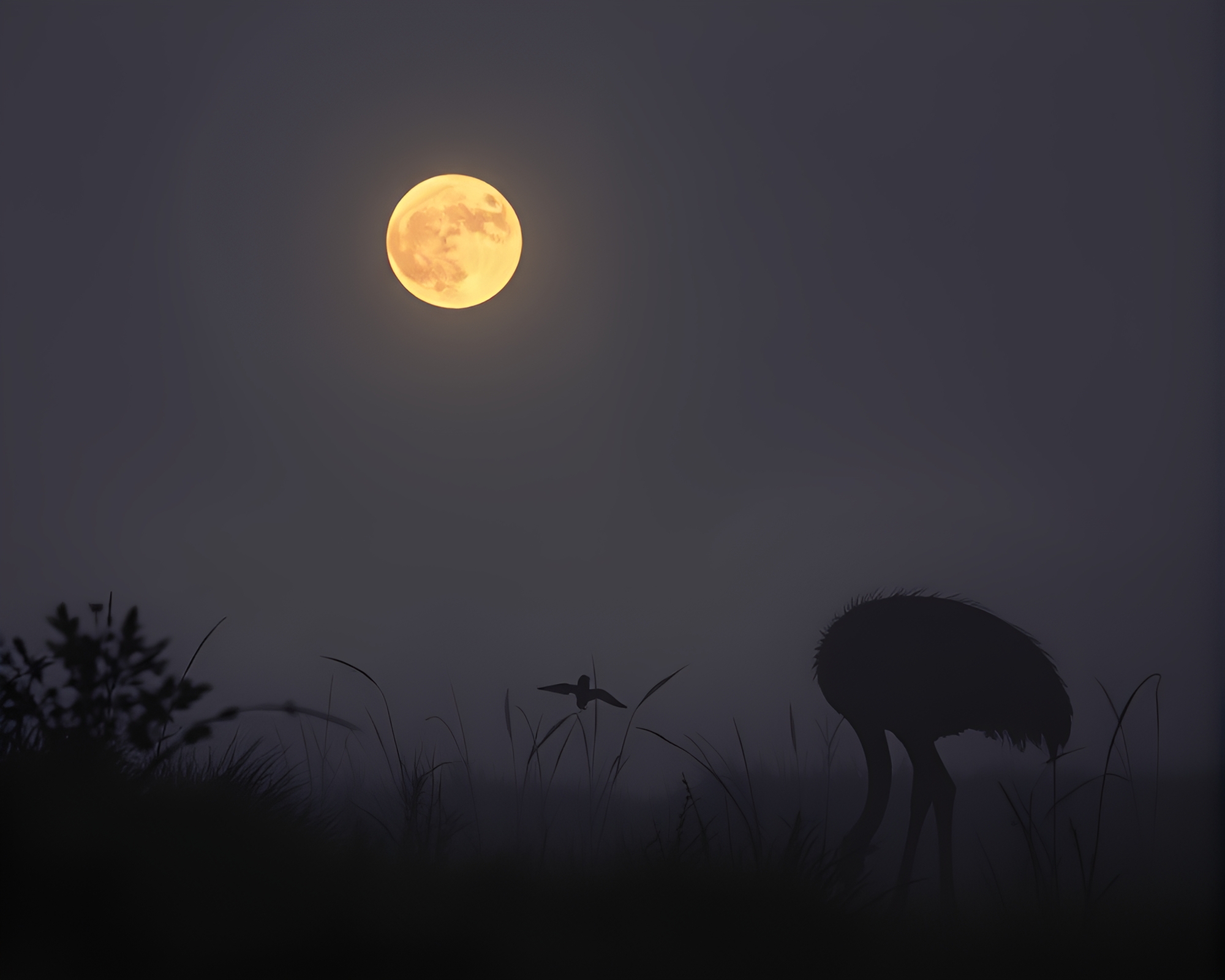 Enigmatic Ostrich in a Dreamy Woodblock Print – free AI stock image