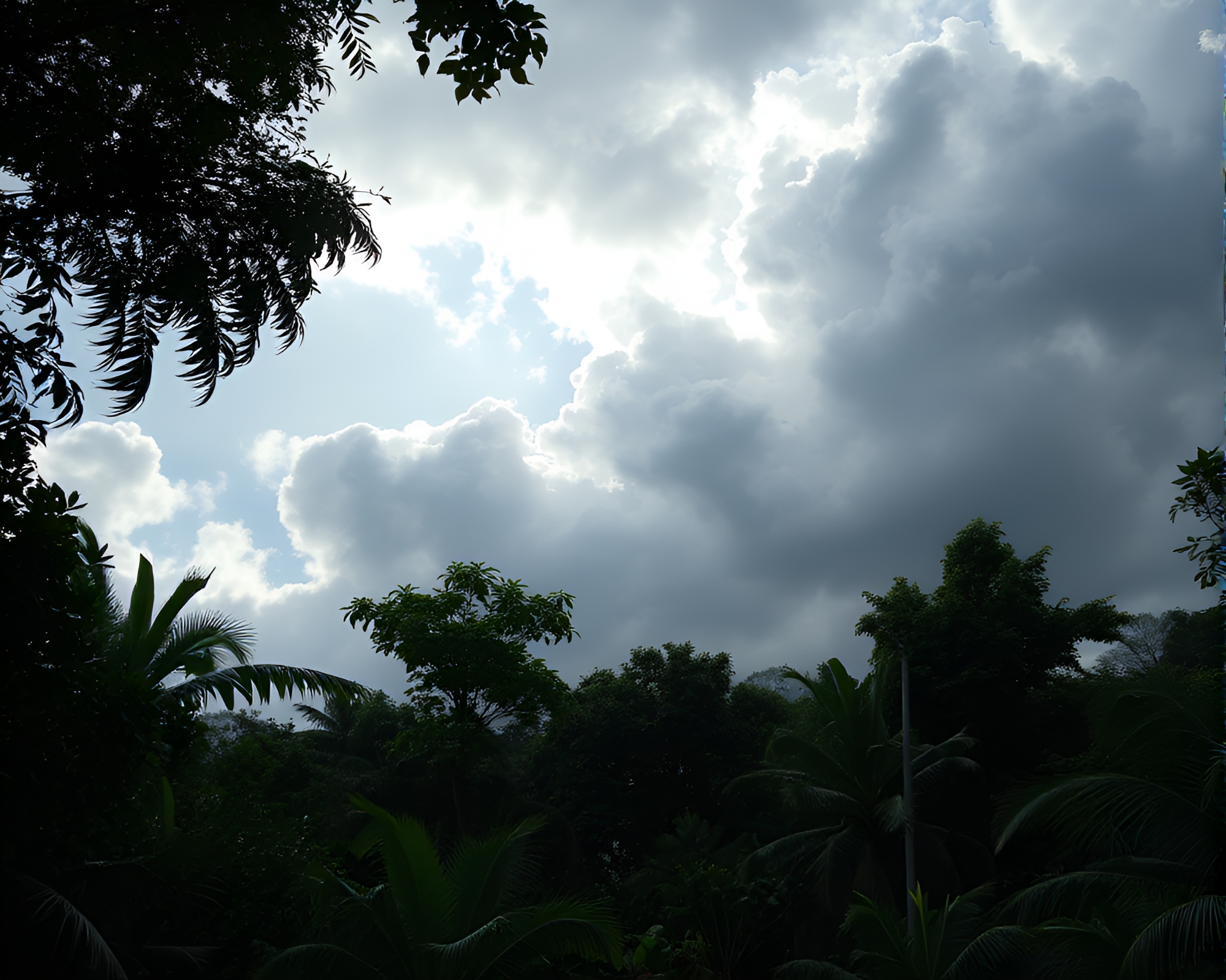 Ethereal DNA Helix in Jungle Canopy Shade – free AI stock image