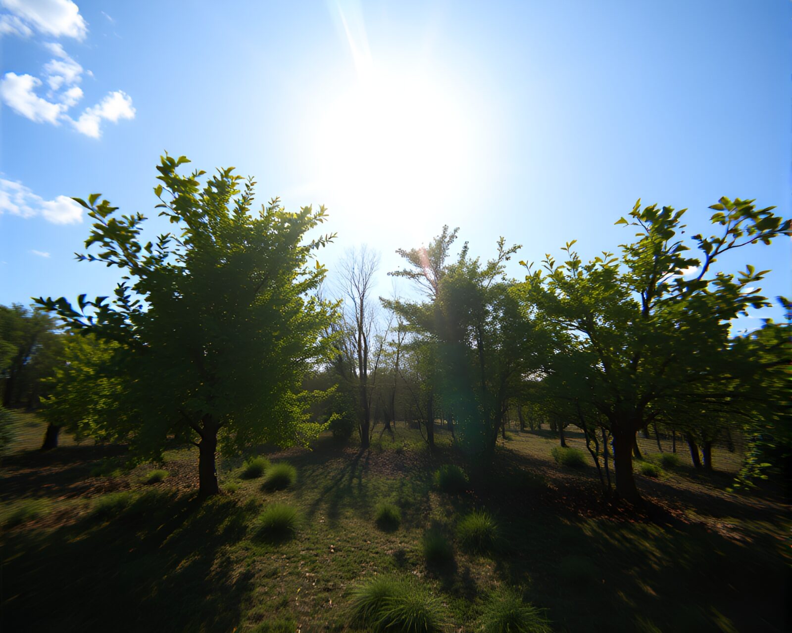Optical illusion environmental portrait - midday light stereograph.