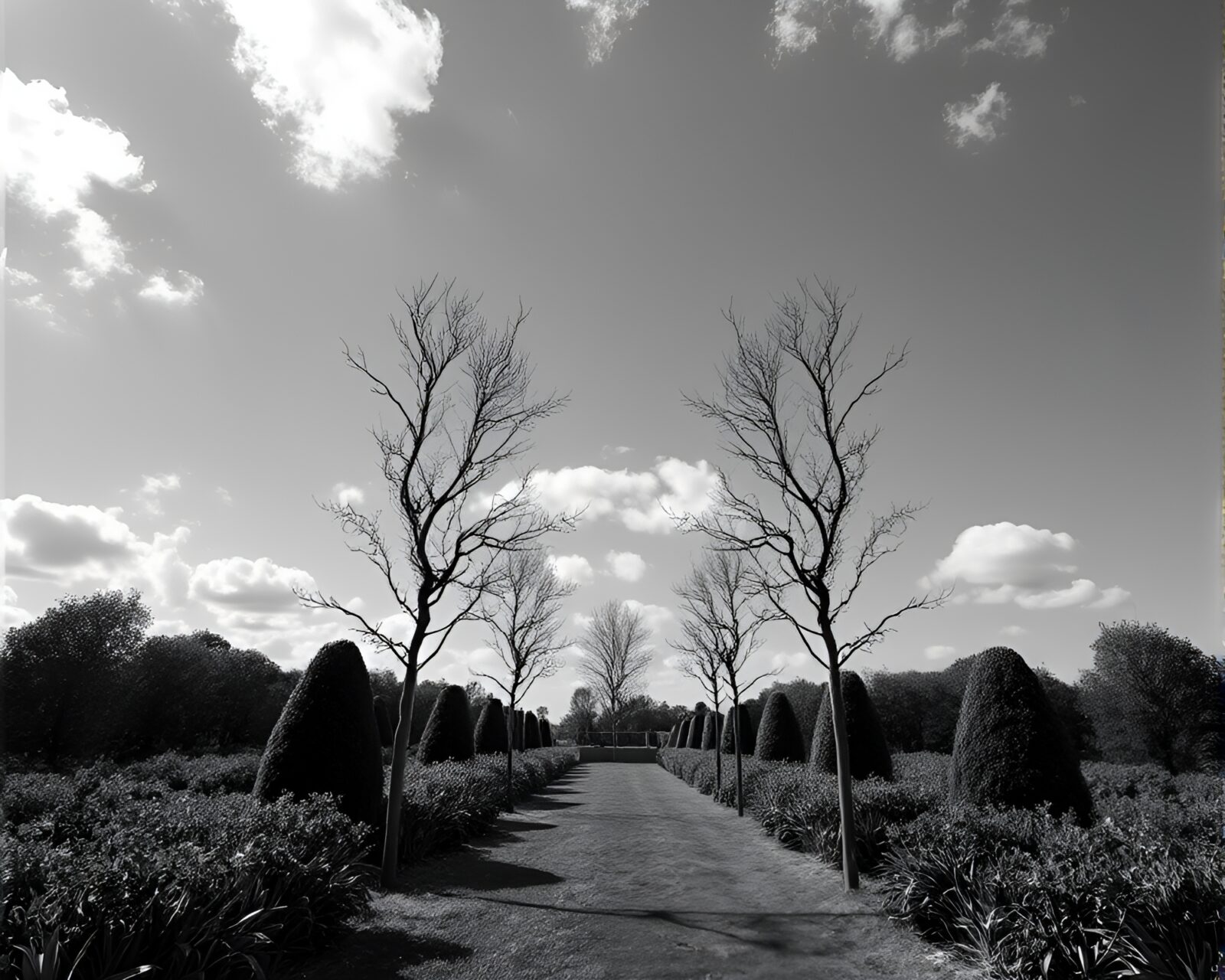 A futuristic garden with mirroring symmetry against black skies