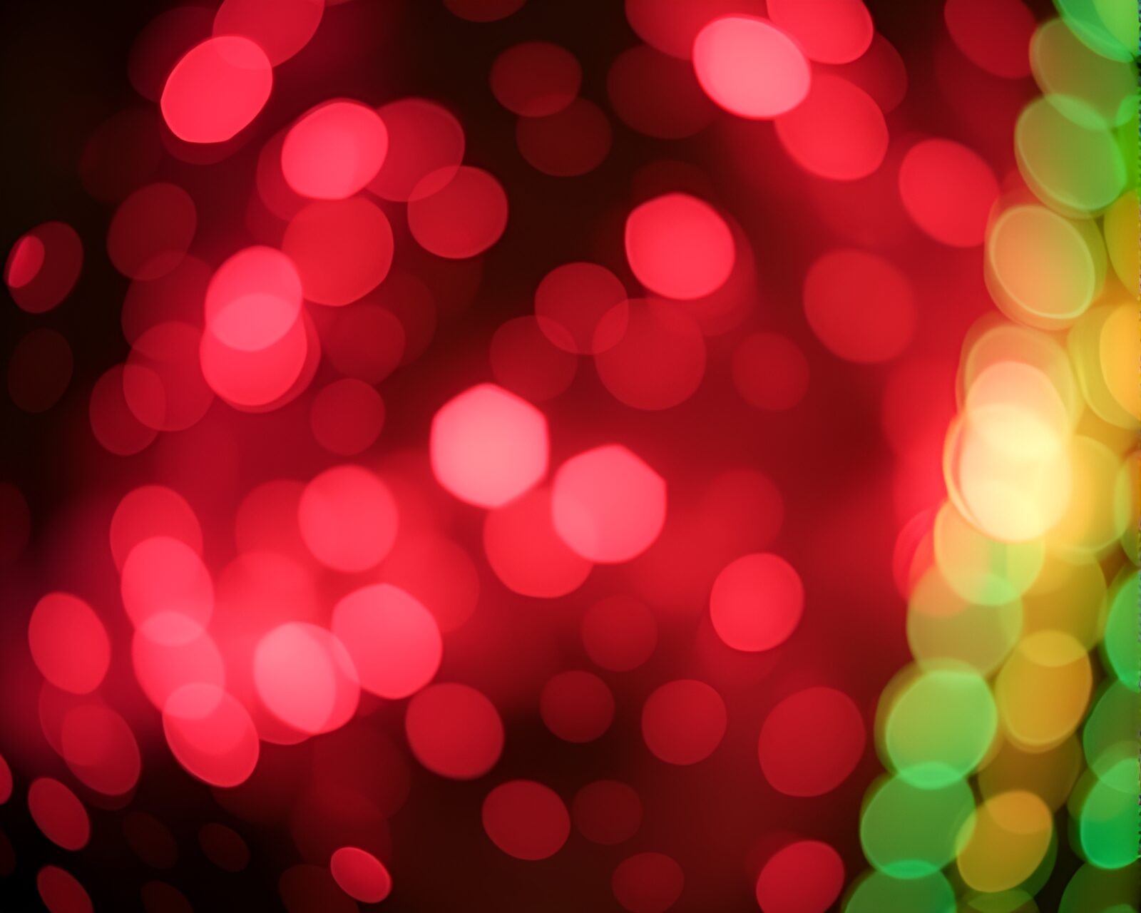 Abstract image of floating particles amidst blooming flowers
