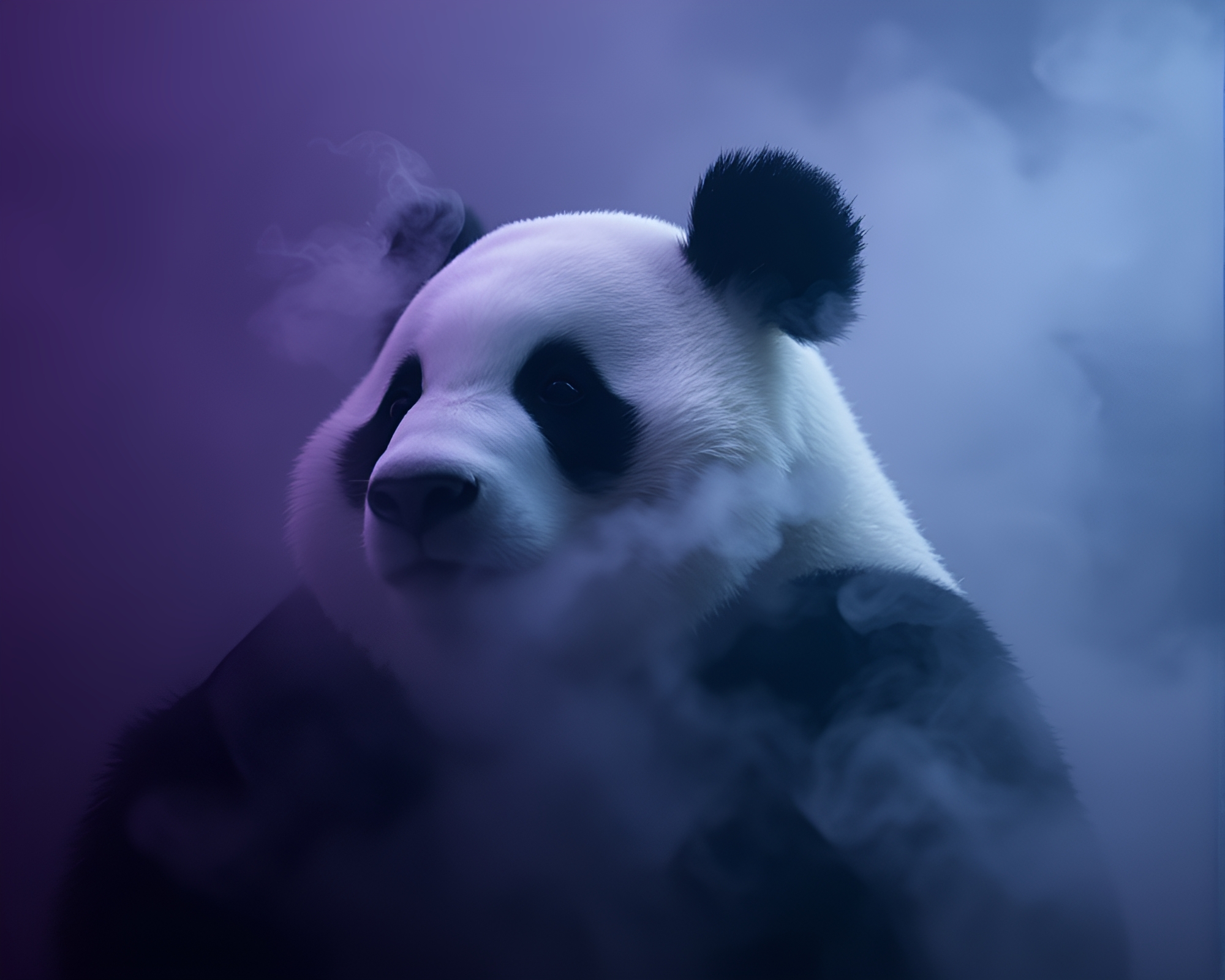 Dreamy Panda in Noir Steam Vapor – free AI stock image