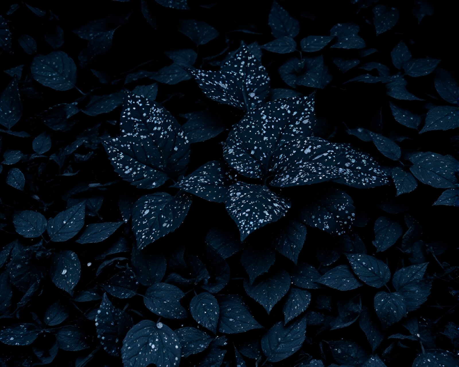 Monochrome blue stipple art of Hydra amongst leaf litter