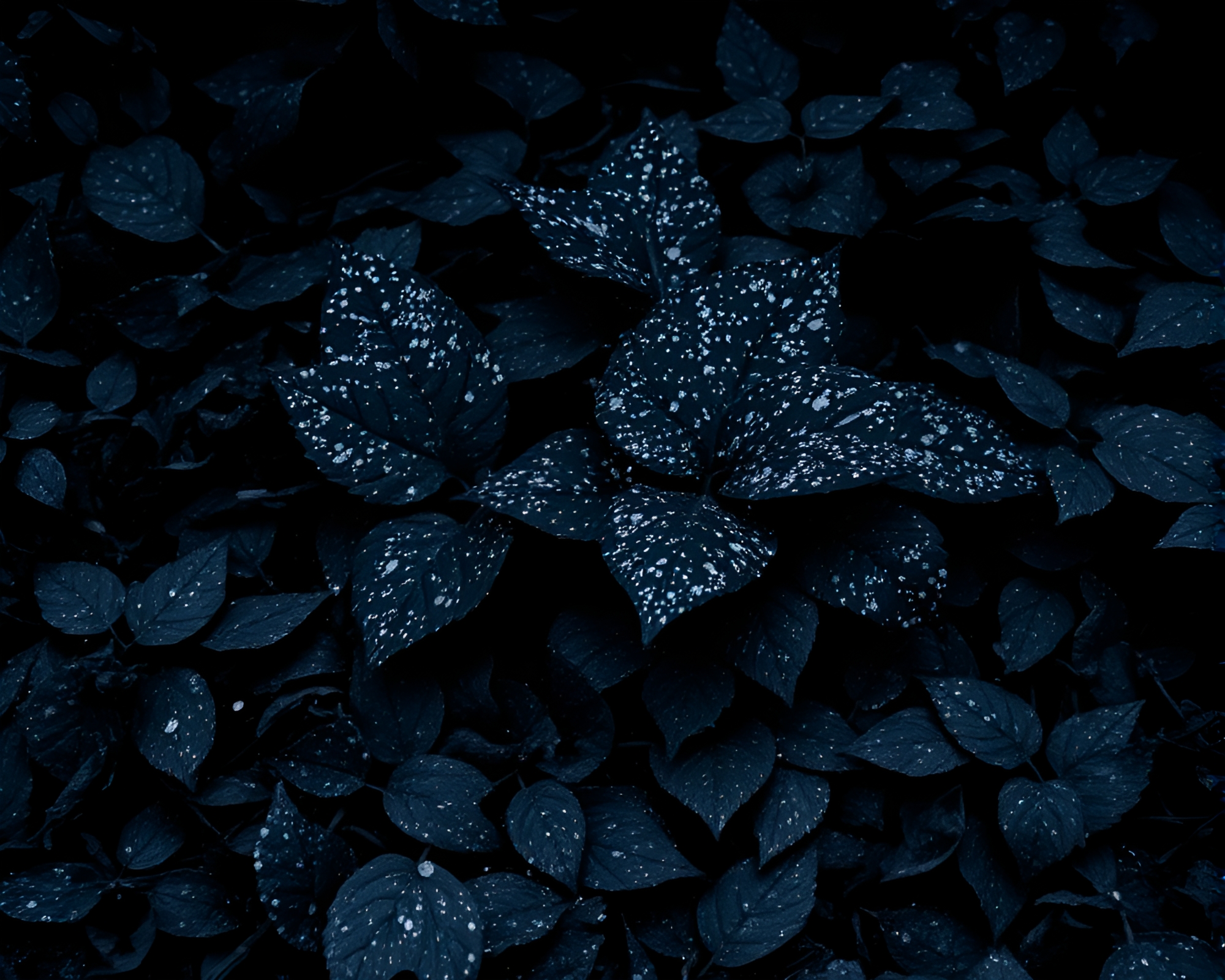 Hydra-themed monochrome stipple art with leaf litter – free AI stock image