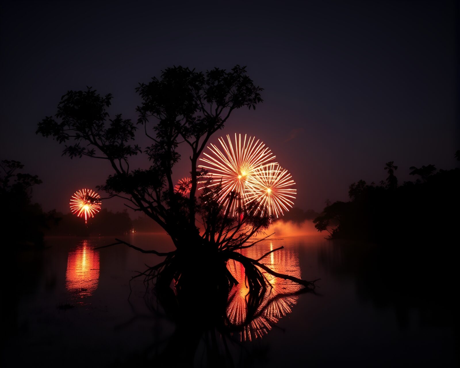Vibrant colors in swamp with fireworks show at night