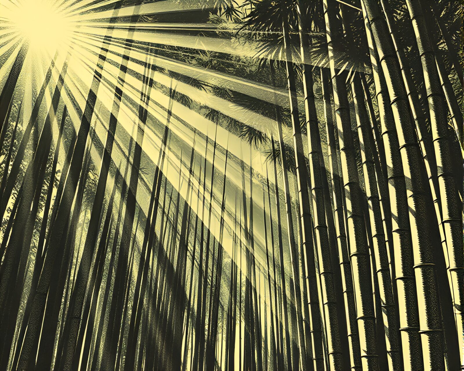 Stereoscopic 3D linocut textures of a bamboo grove