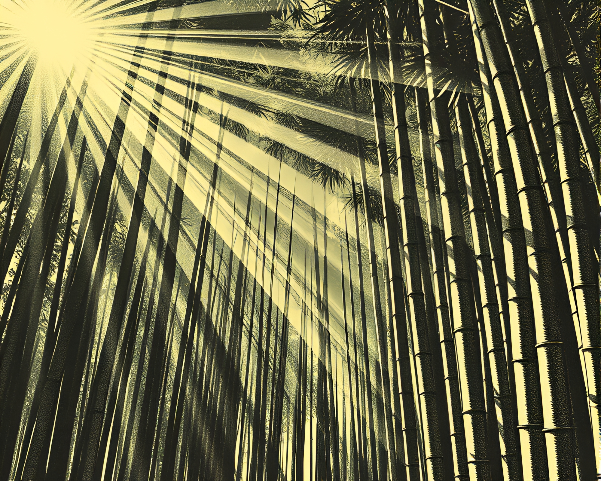 Bamboo Grove Illuminated by Sunbeam Rays in 3D – free AI stock image