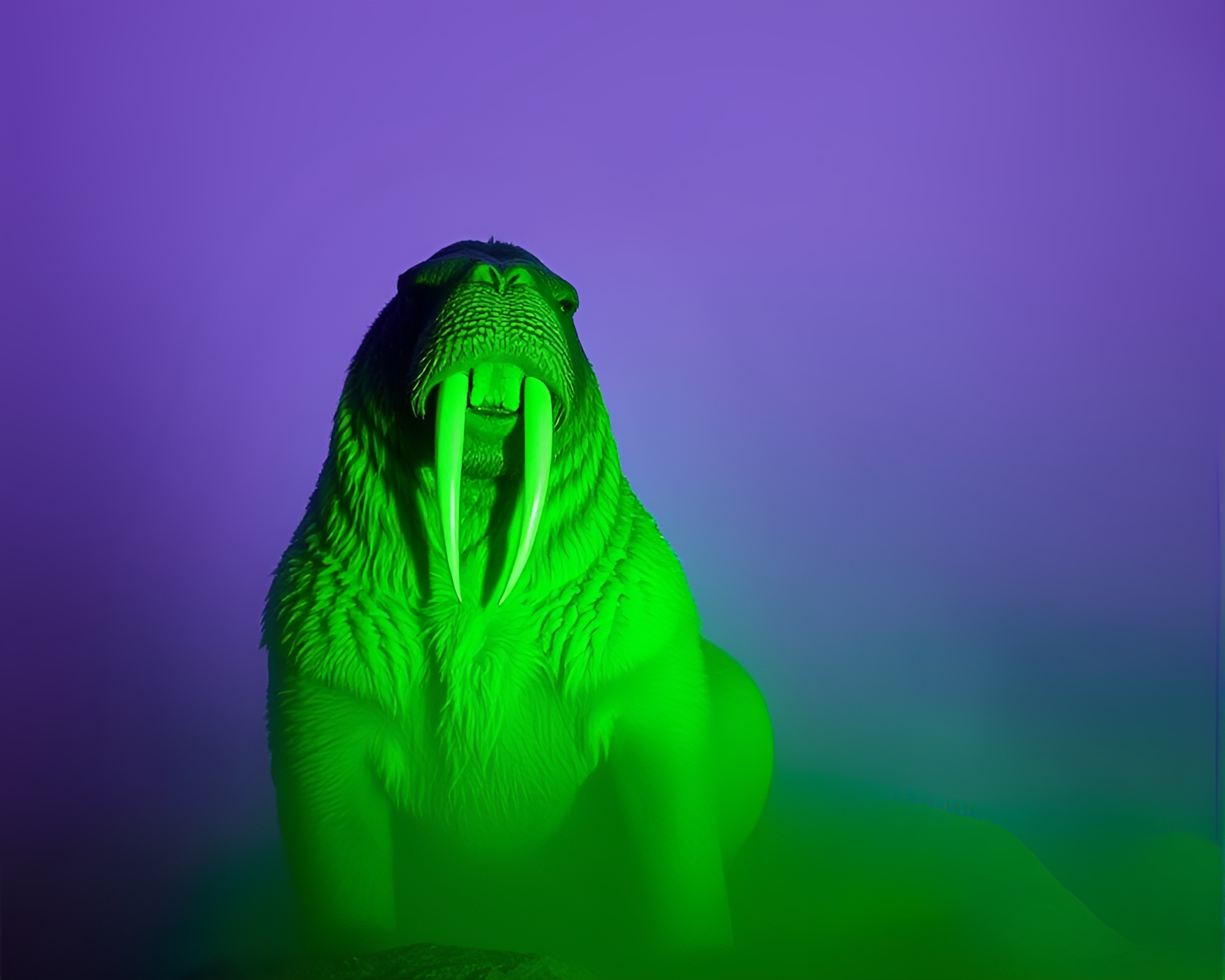Mystical Walrus Silhouette in Ultraviolet Fog Banks – free AI stock image