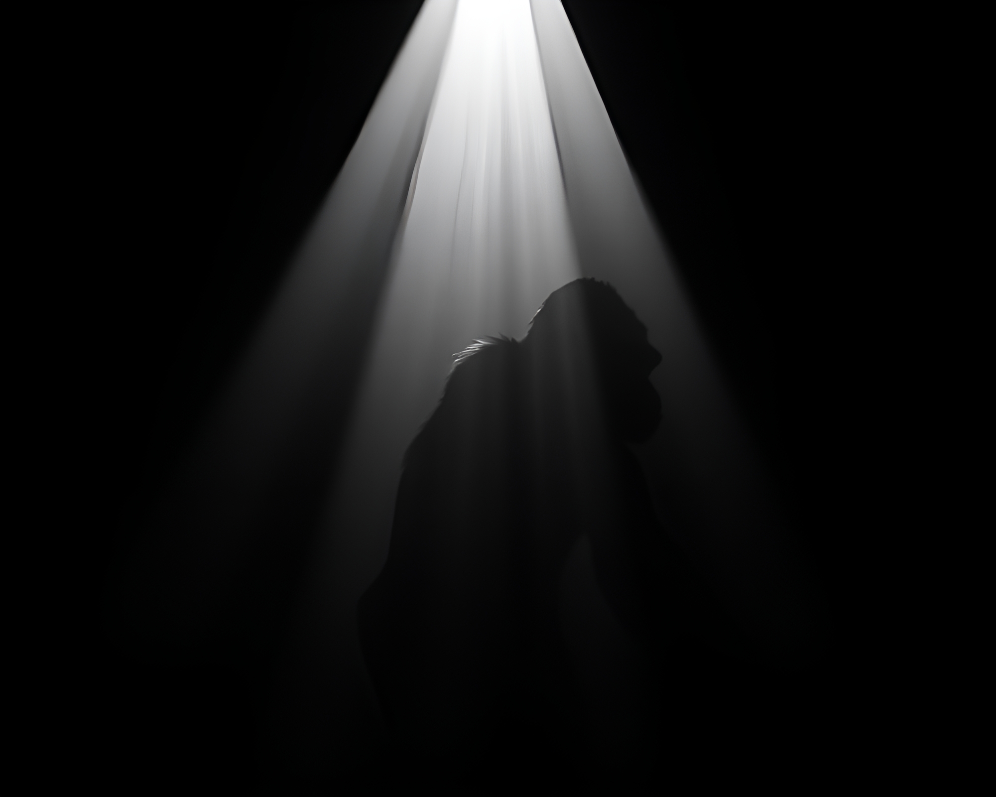 Gorilla in Shadow Silhouette with Light Streaks – free AI stock image